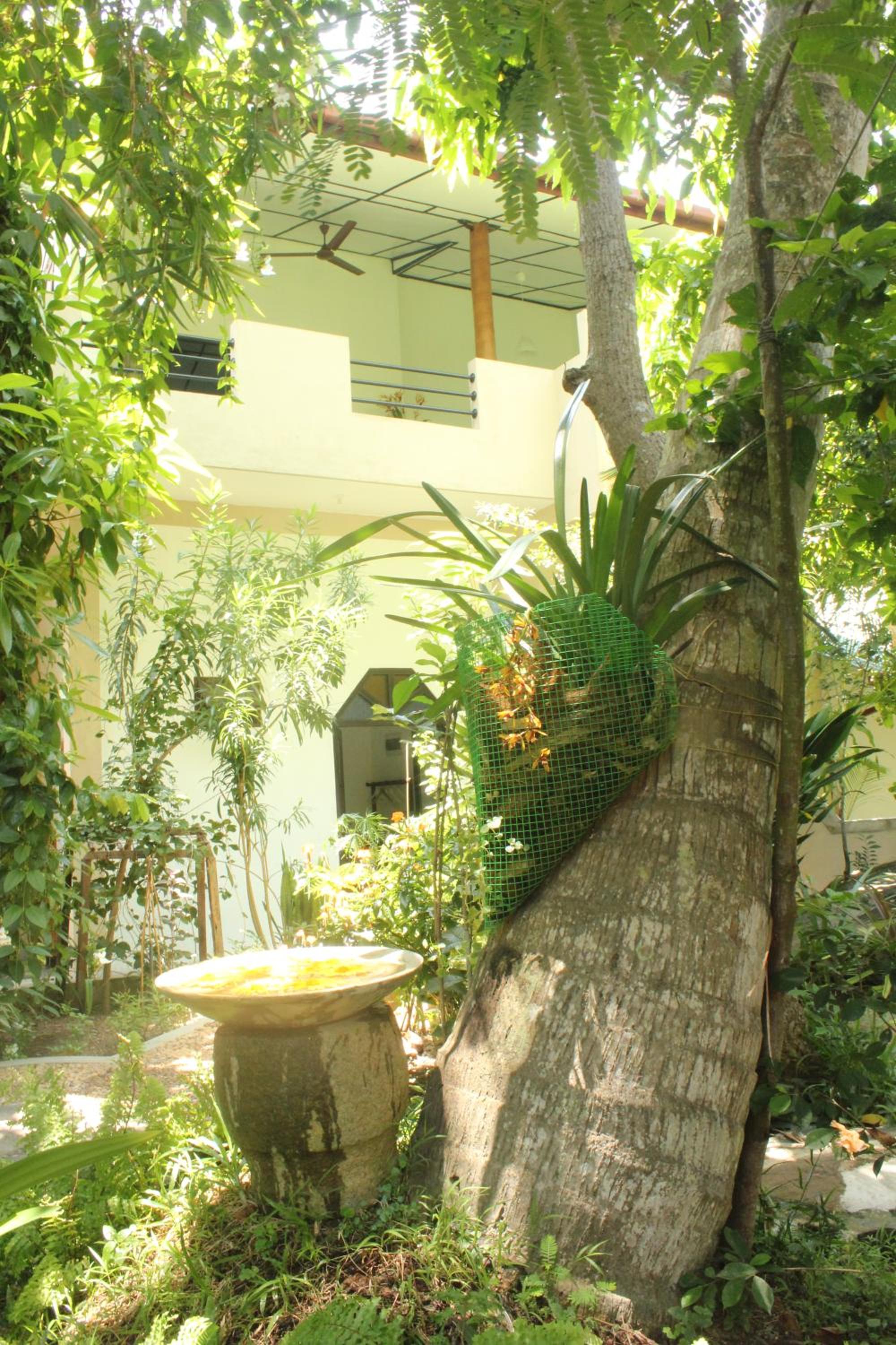 Dionis Villa