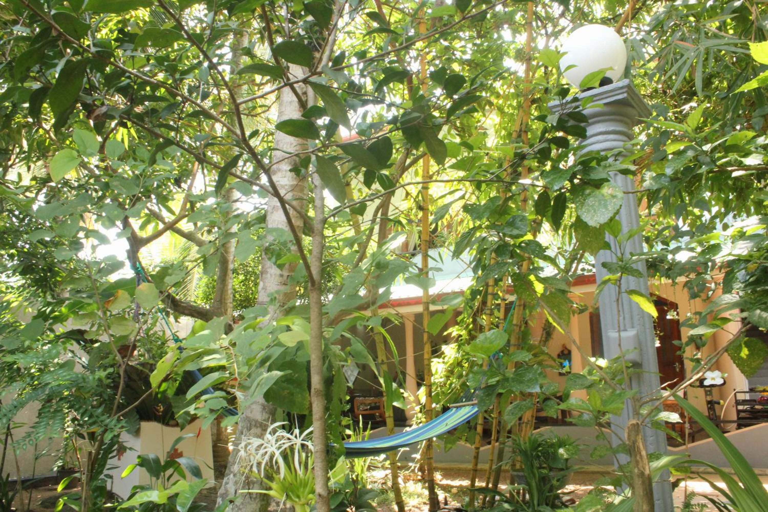 Dionis Villa