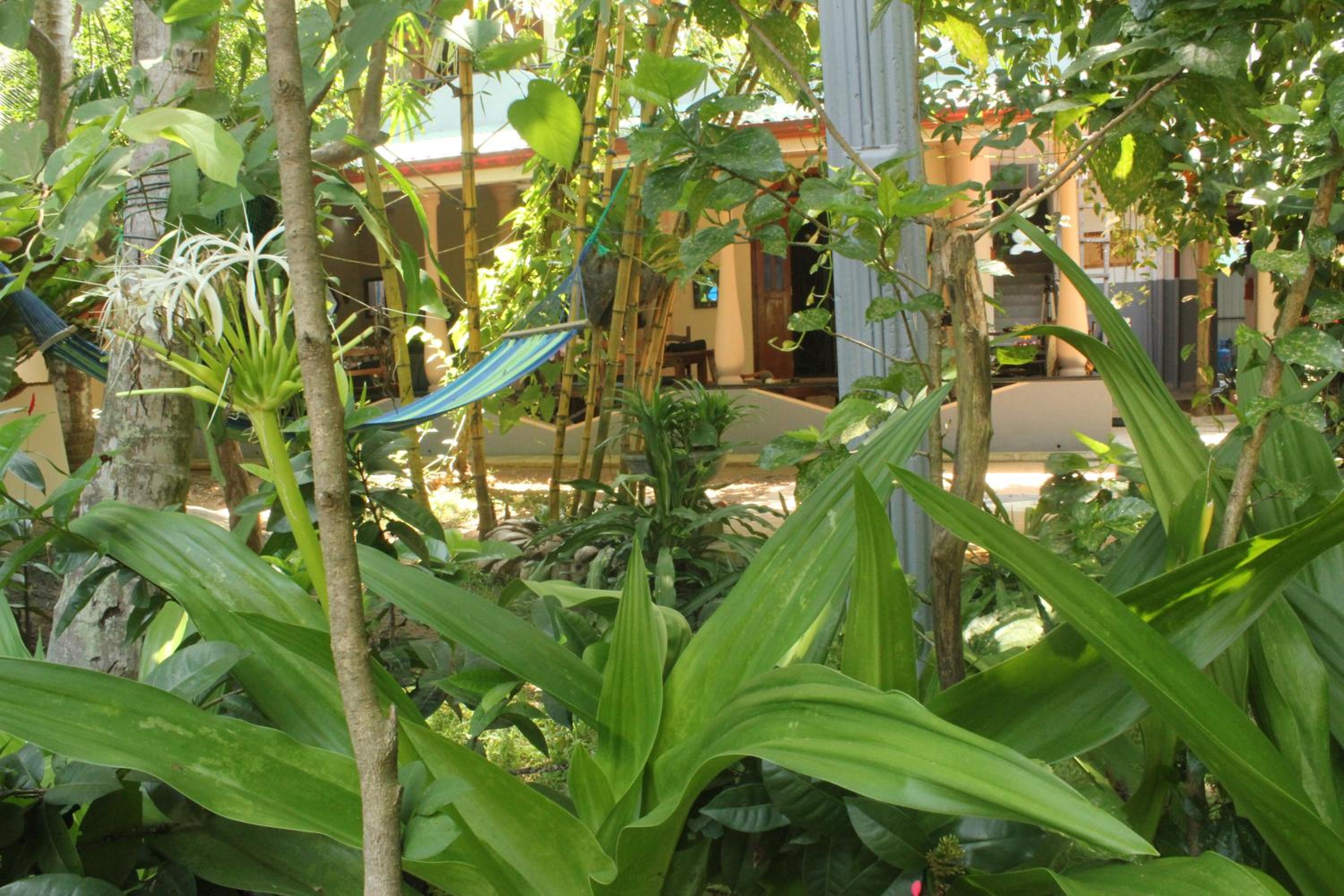 Dionis Villa