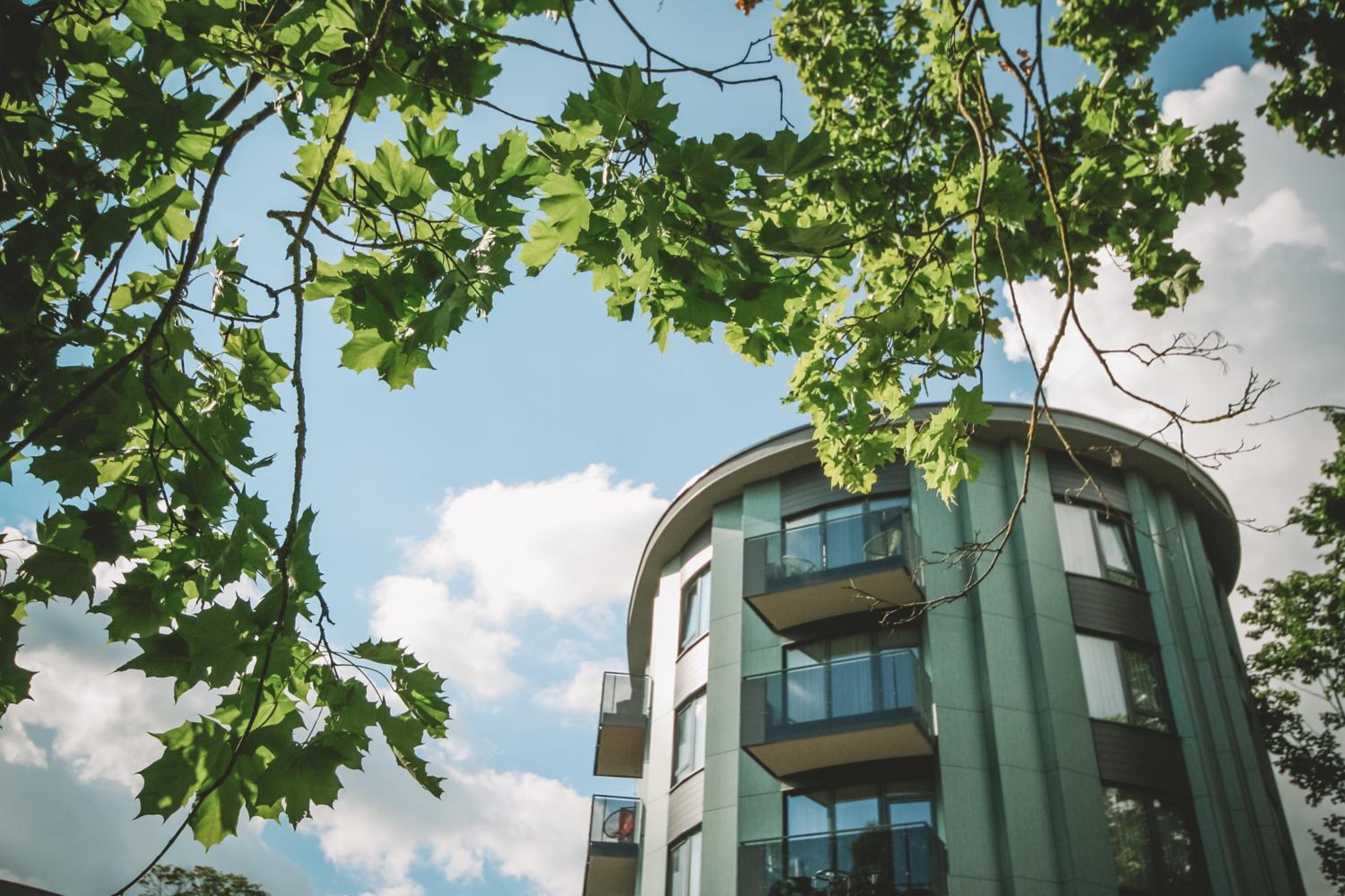 Photo 109