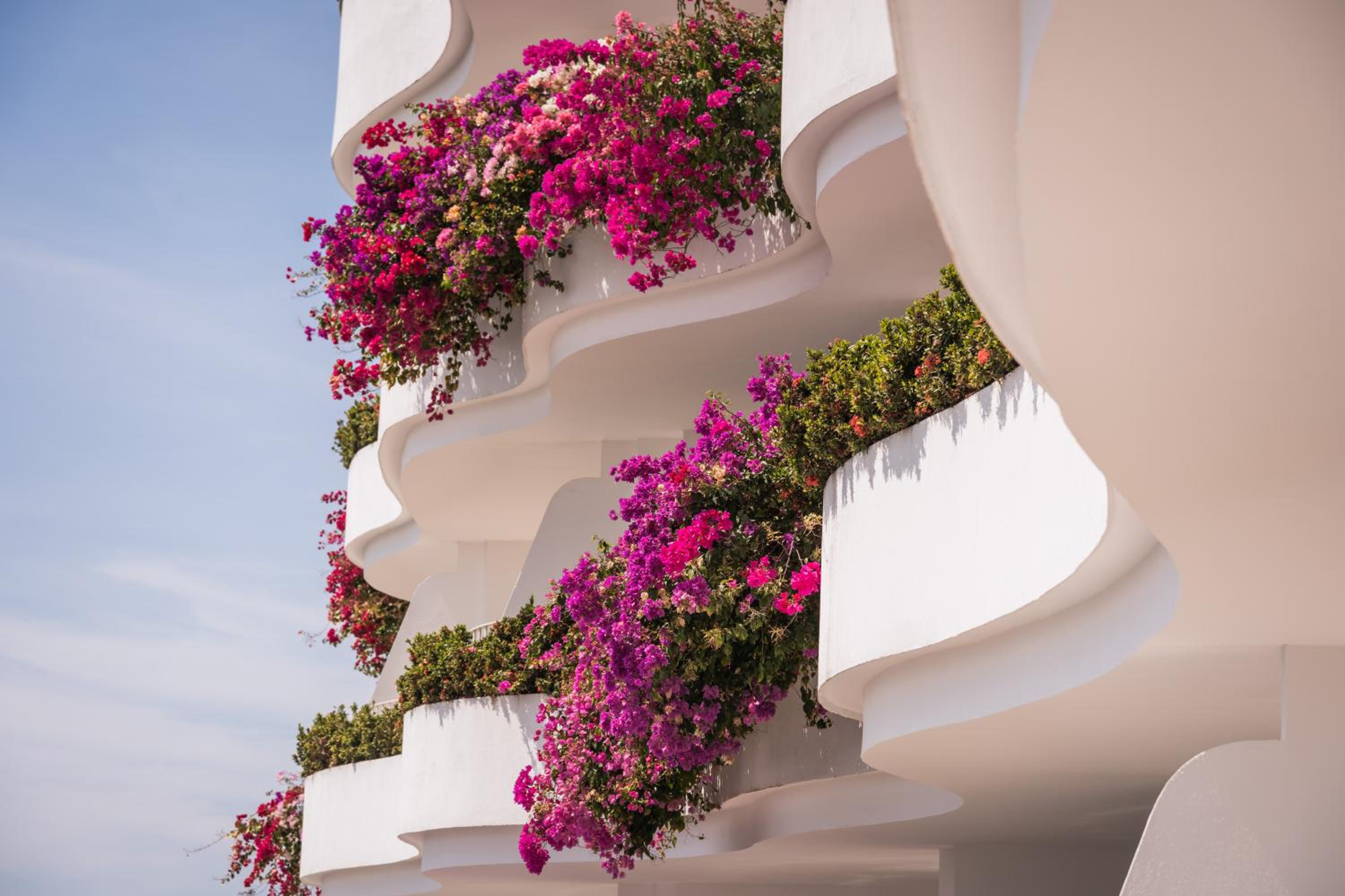 Puerto Vallarta Vacations - Grand Miramar All Luxury Suites  Residences - Property Image 39