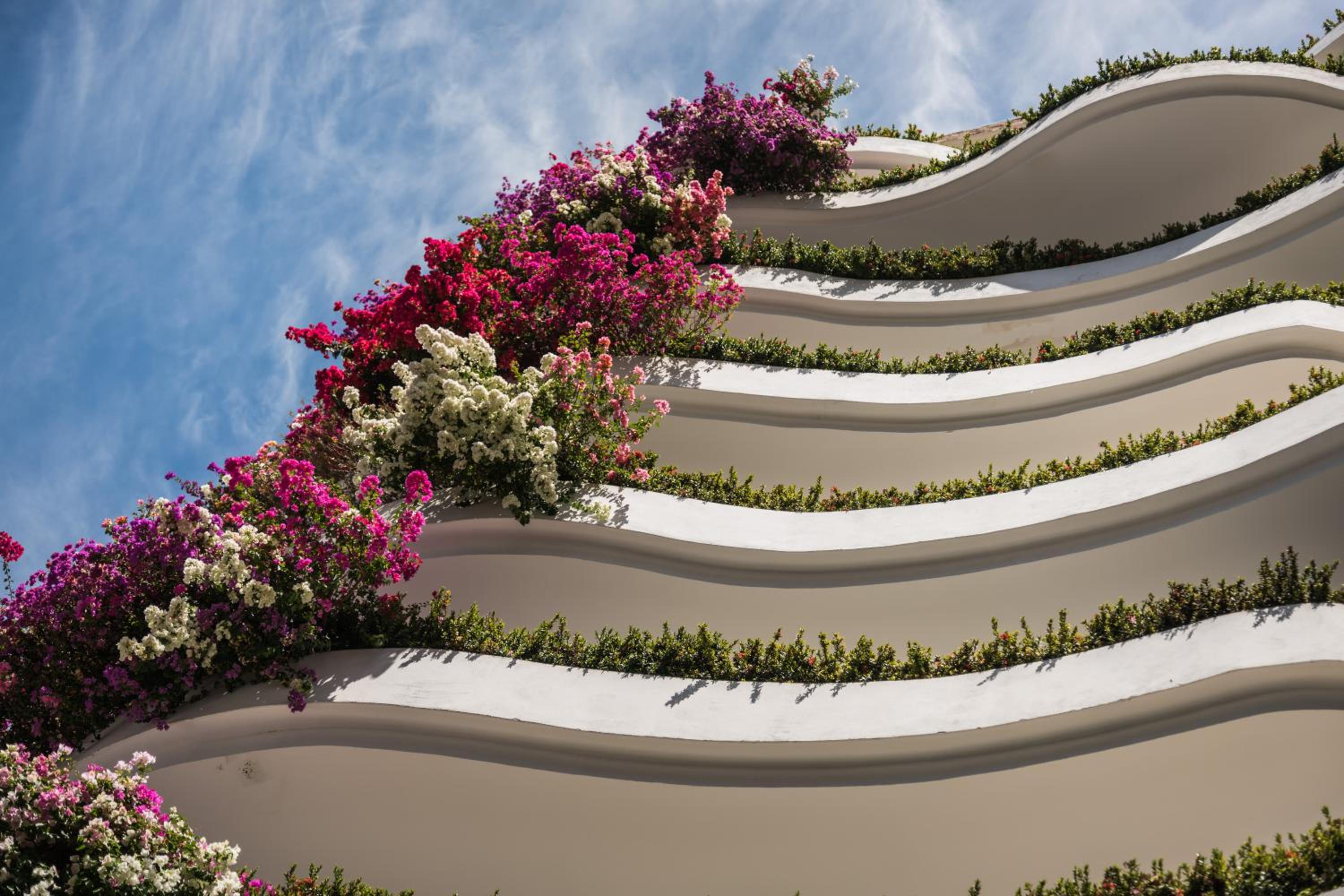 Puerto Vallarta Vacations - Grand Miramar All Luxury Suites  Residences - Property Image 91