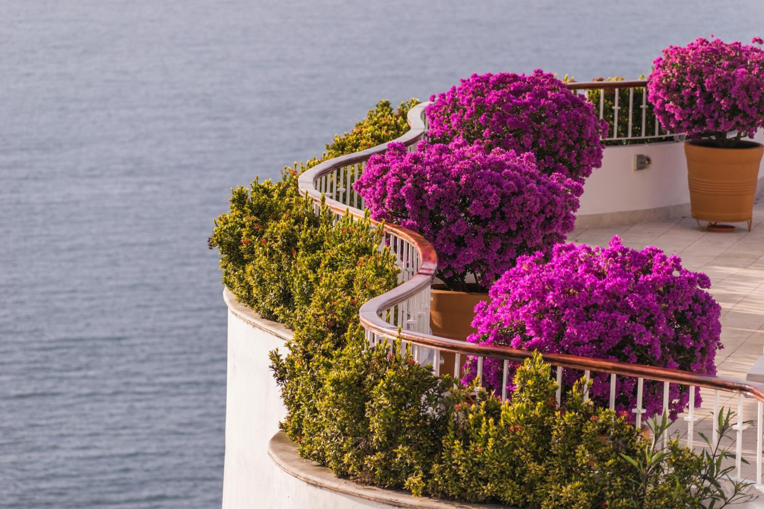 Puerto Vallarta Vacations - Grand Miramar All Luxury Suites  Residences - Property Image 93