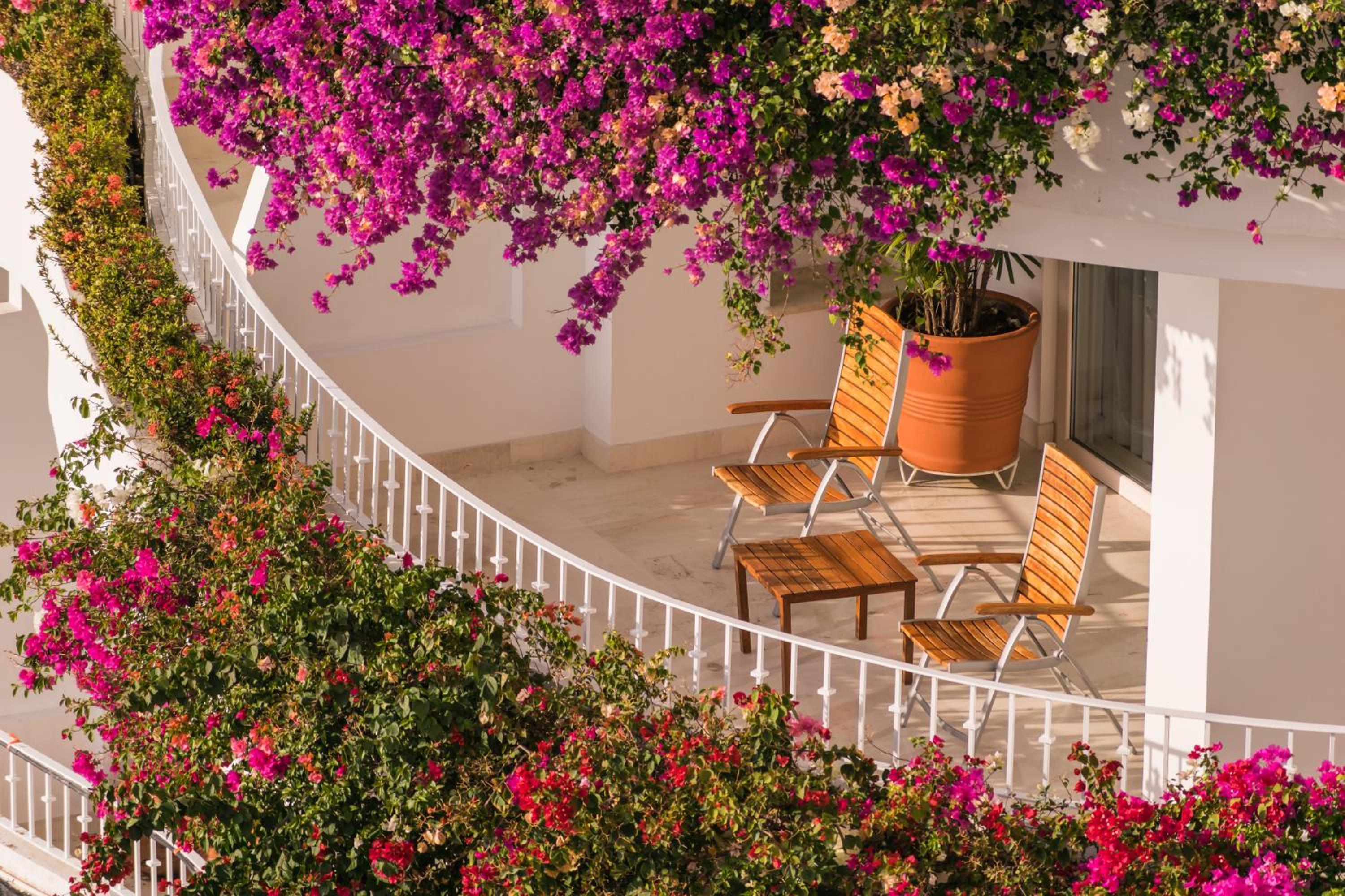 Puerto Vallarta Vacations - Grand Miramar All Luxury Suites  Residences - Property Image 6