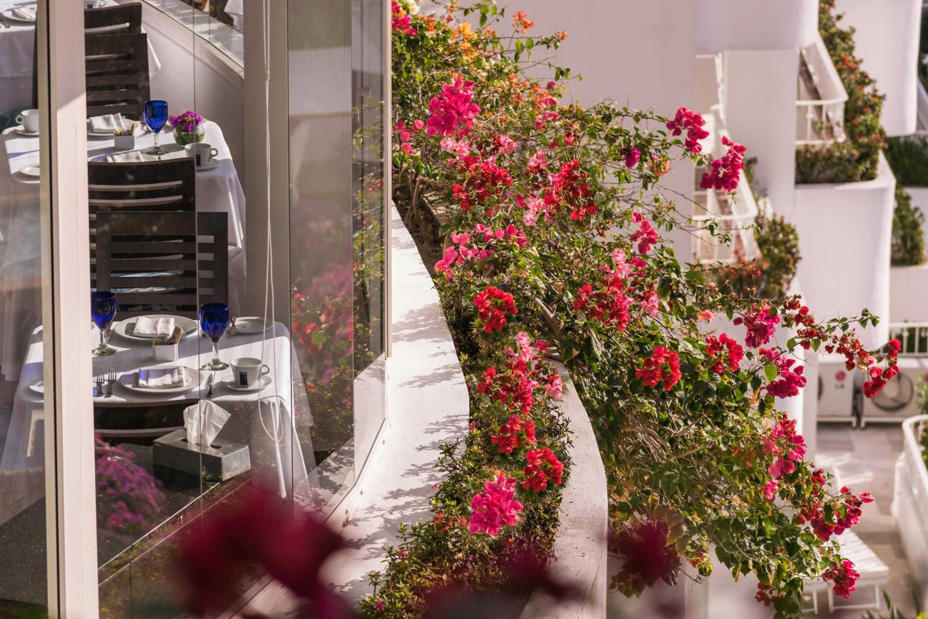 Puerto Vallarta Vacations - Grand Miramar All Luxury Suites  Residences - Property Image 96