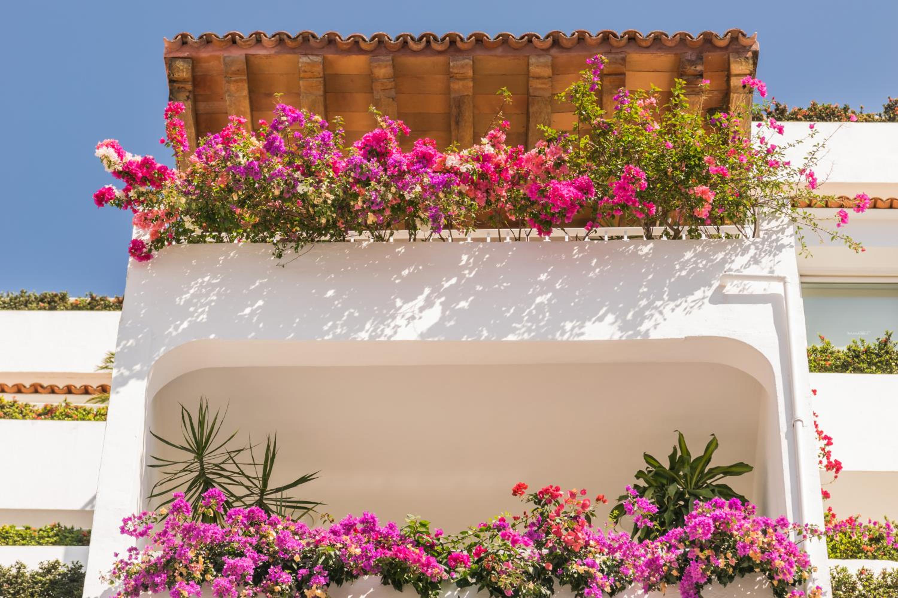 Puerto Vallarta Vacations - Grand Miramar All Luxury Suites  Residences - Property Image 98