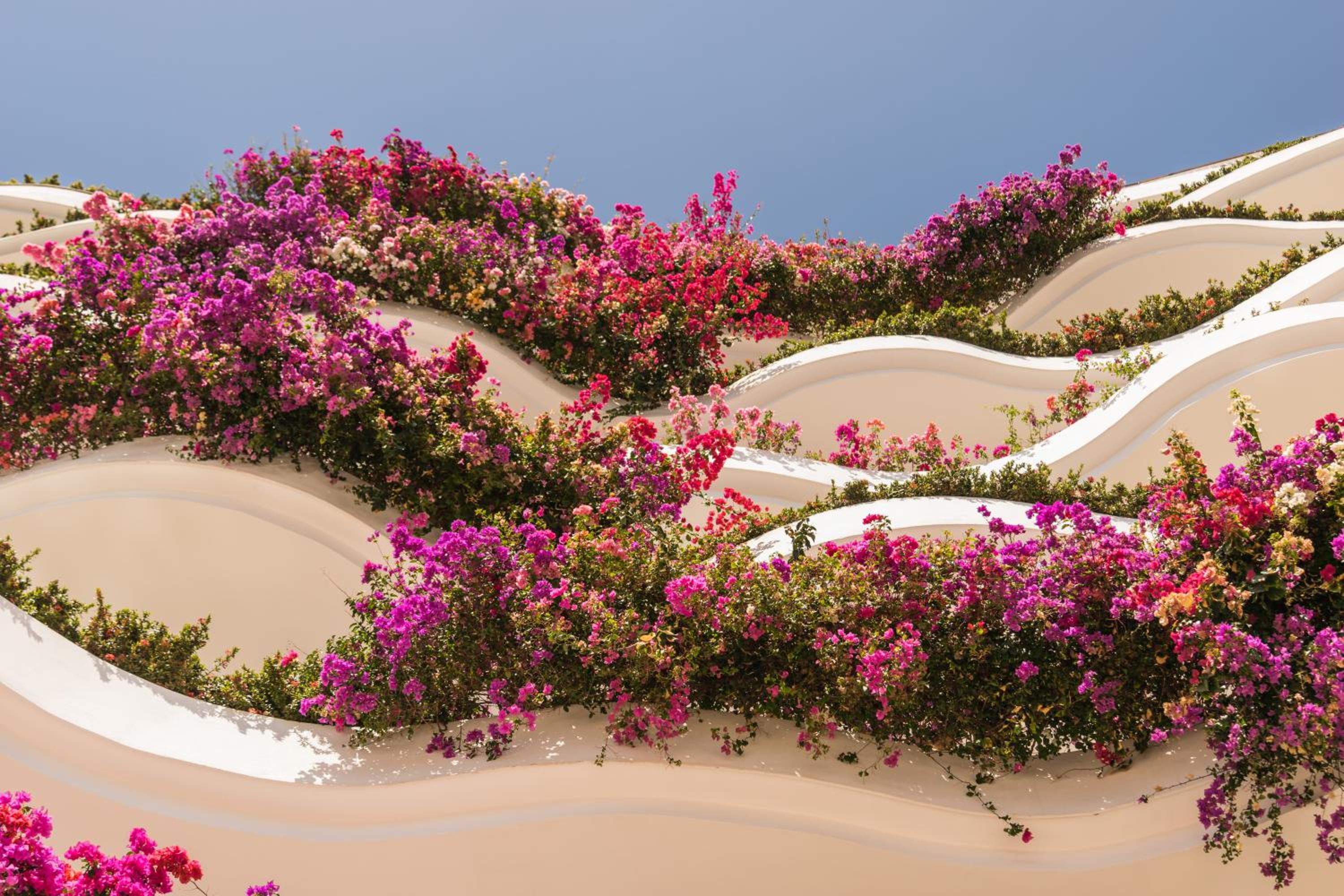 Puerto Vallarta Vacations - Grand Miramar All Luxury Suites  Residences - Property Image 99