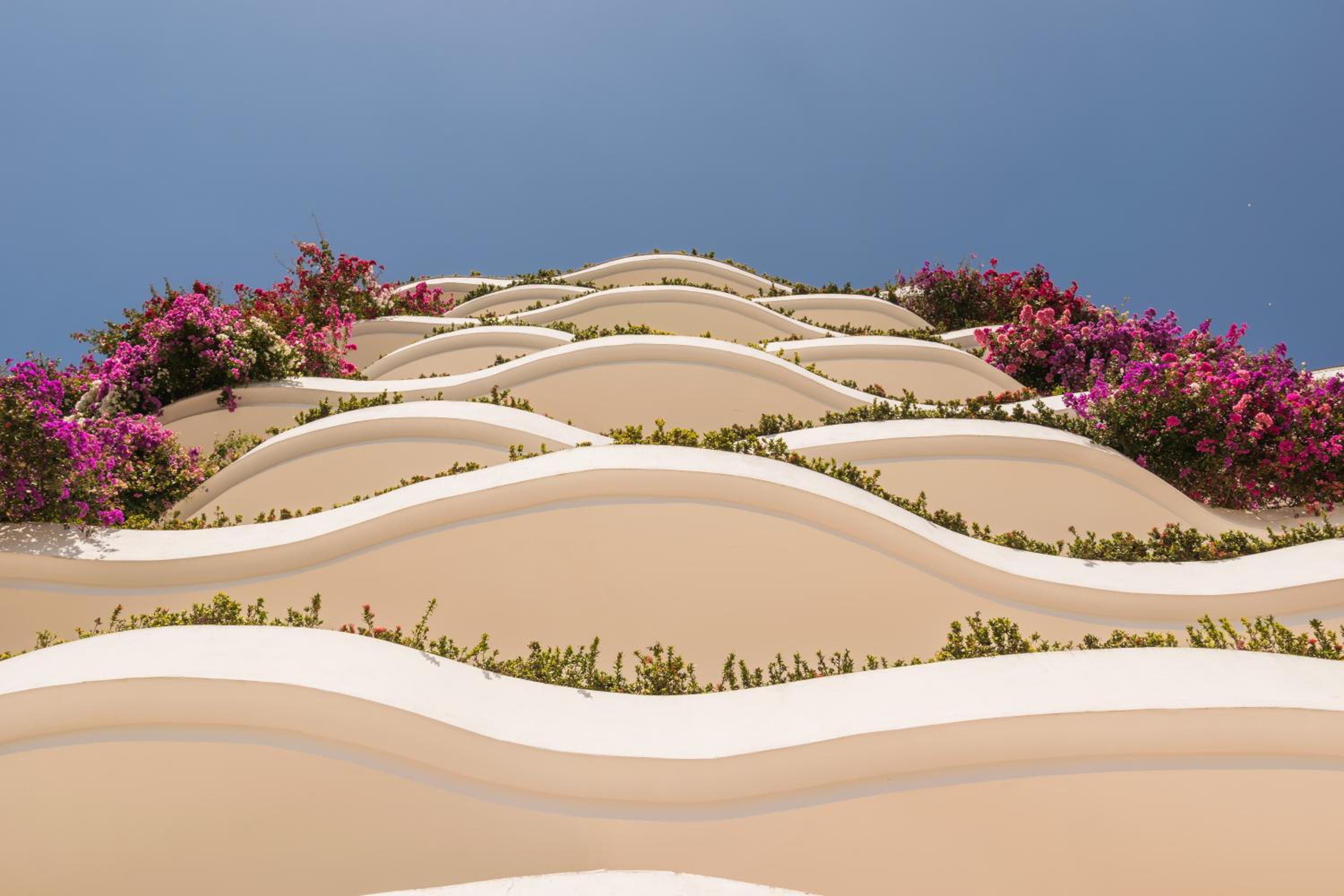 Puerto Vallarta Vacations - Grand Miramar All Luxury Suites  Residences - Property Image 100