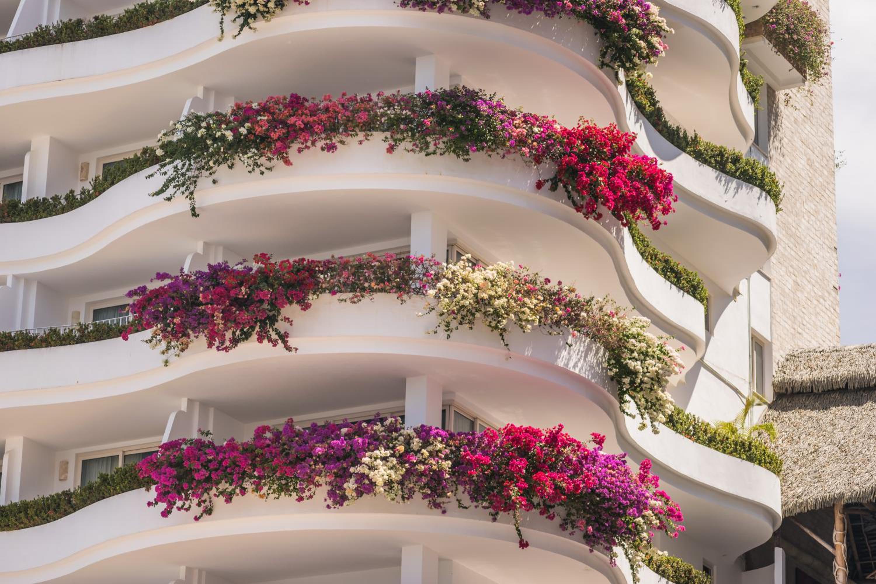 Puerto Vallarta Vacations - Grand Miramar All Luxury Suites  Residences - Property Image 101