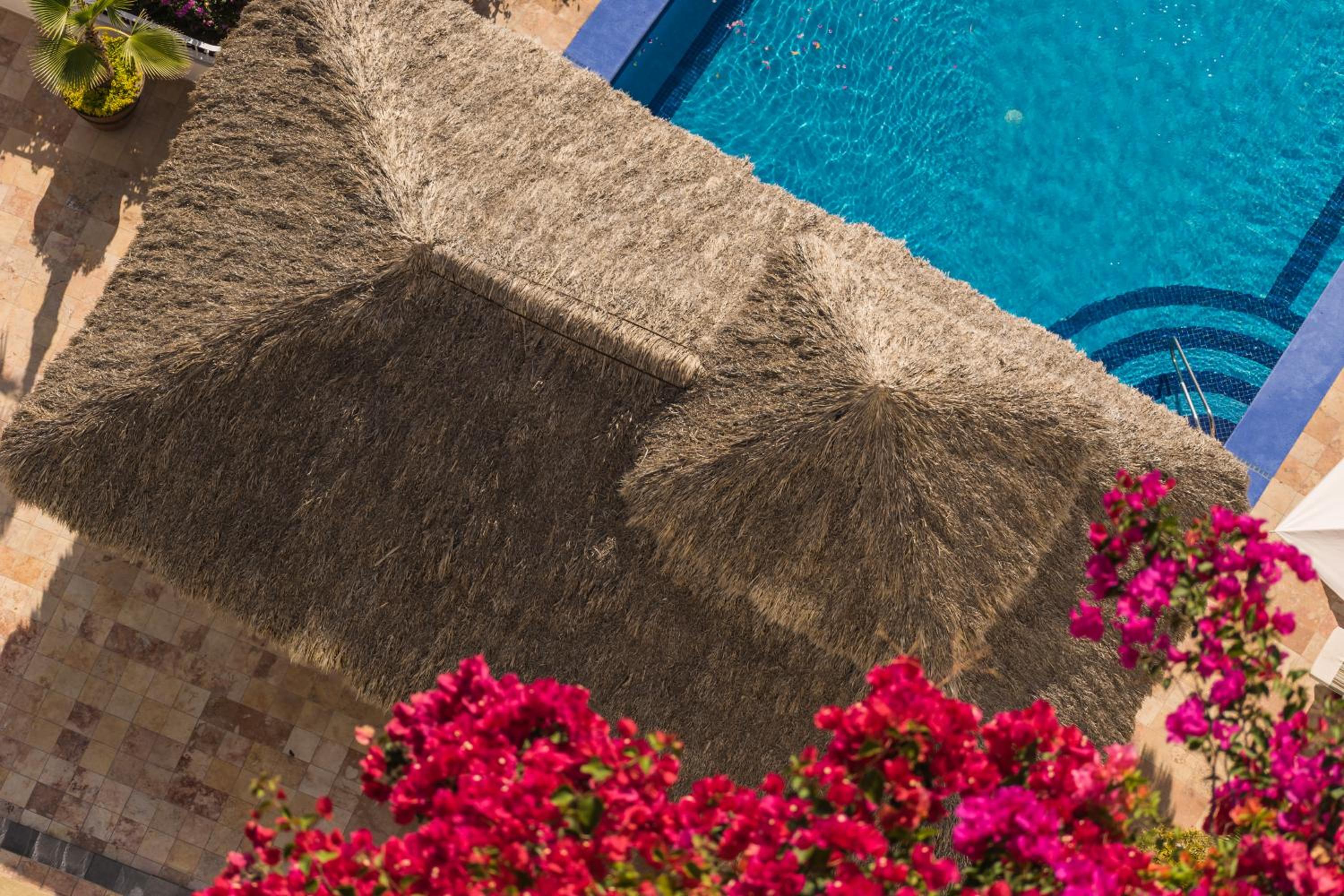 Puerto Vallarta Vacations - Grand Miramar All Luxury Suites  Residences - Property Image 73