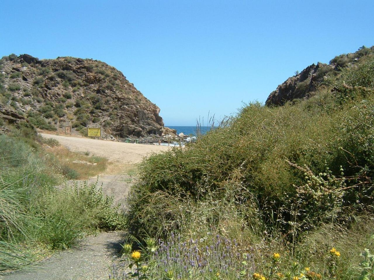 Photo 32