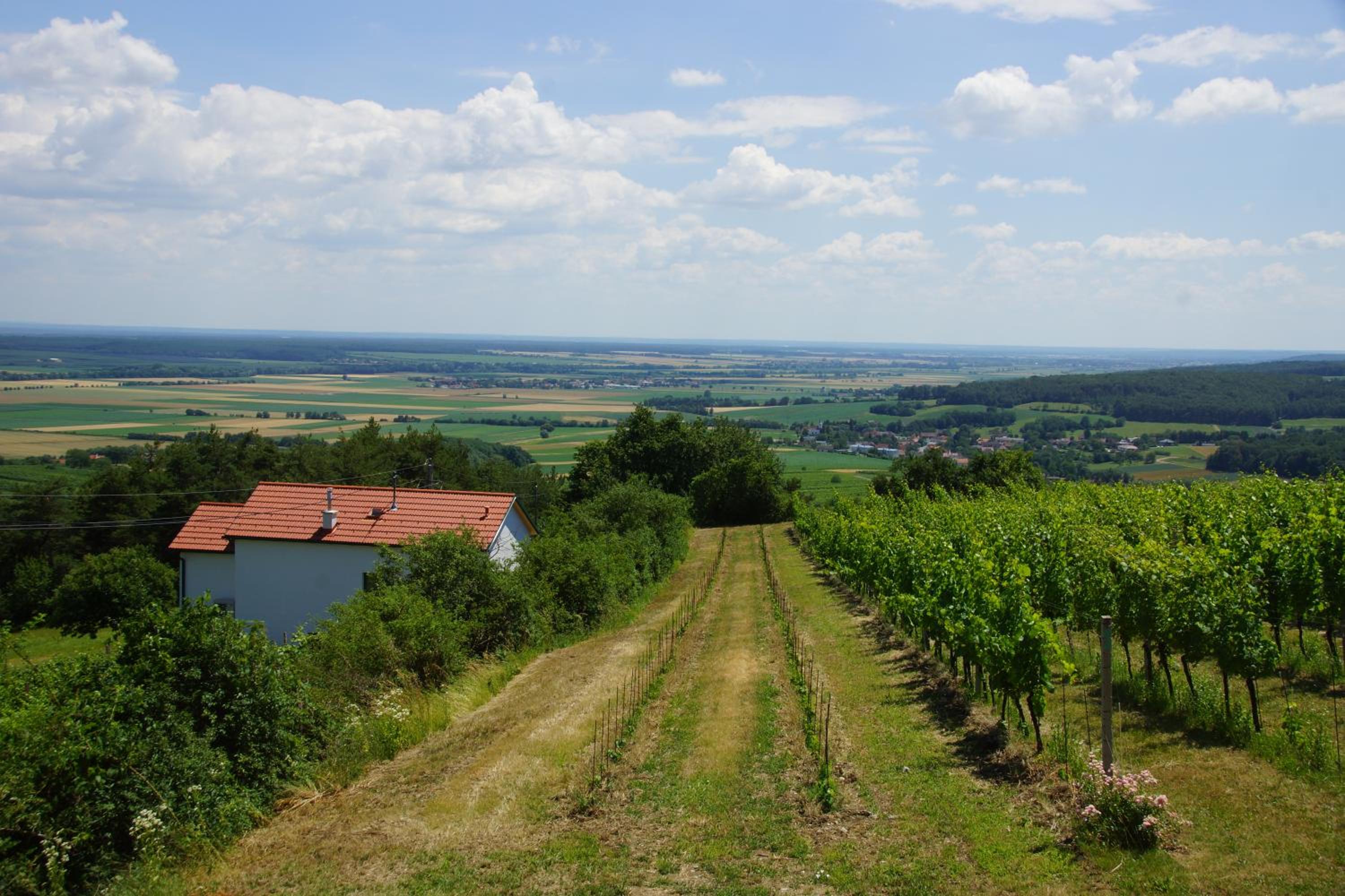 Kellerstöckl Weinblick I und II