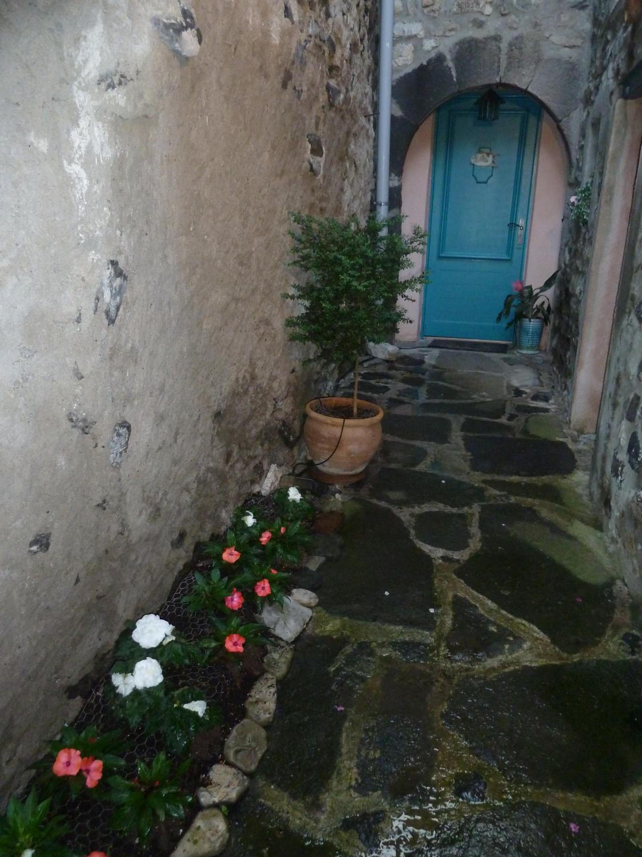 Les Hibiscus view 5