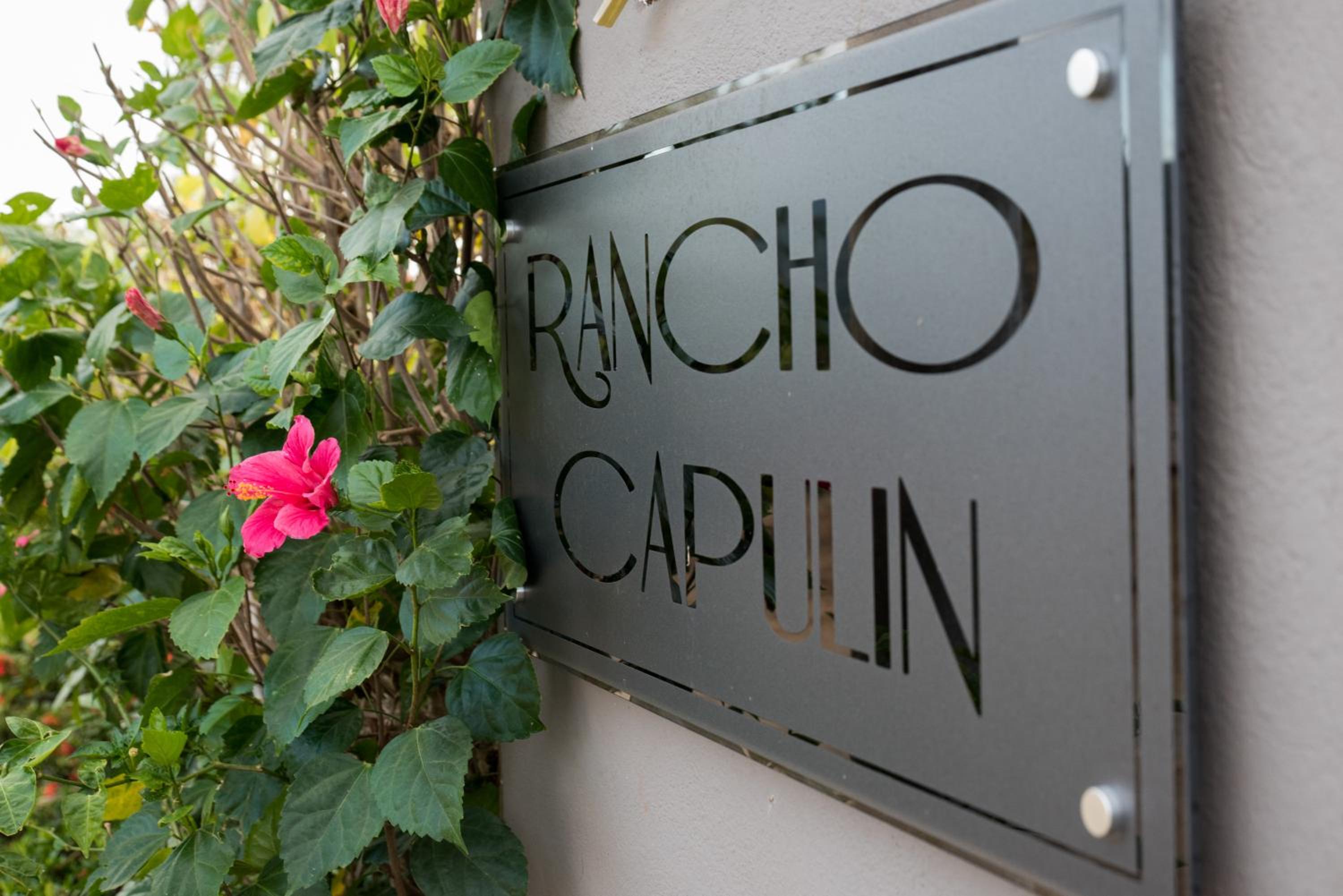 Rancho Capulin B&B