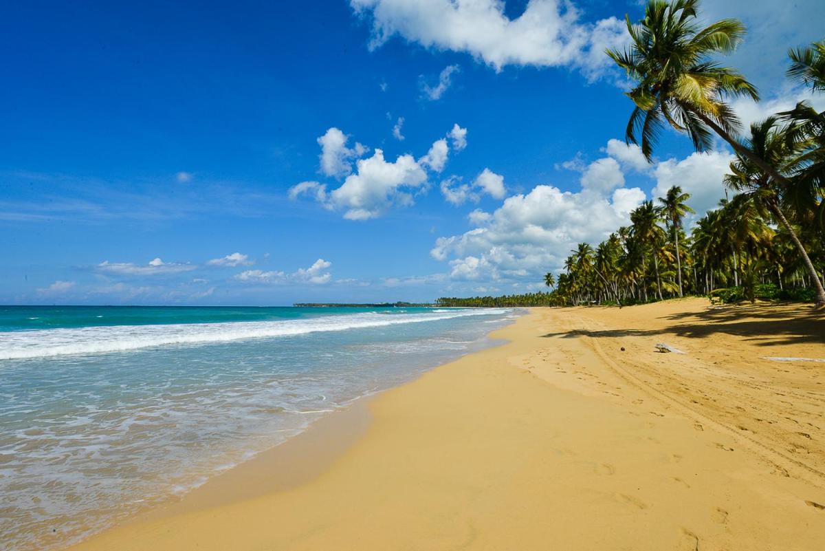 Aligio Beachfront Paradise