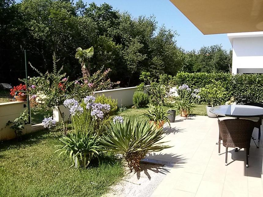 Apartman Eden view 3