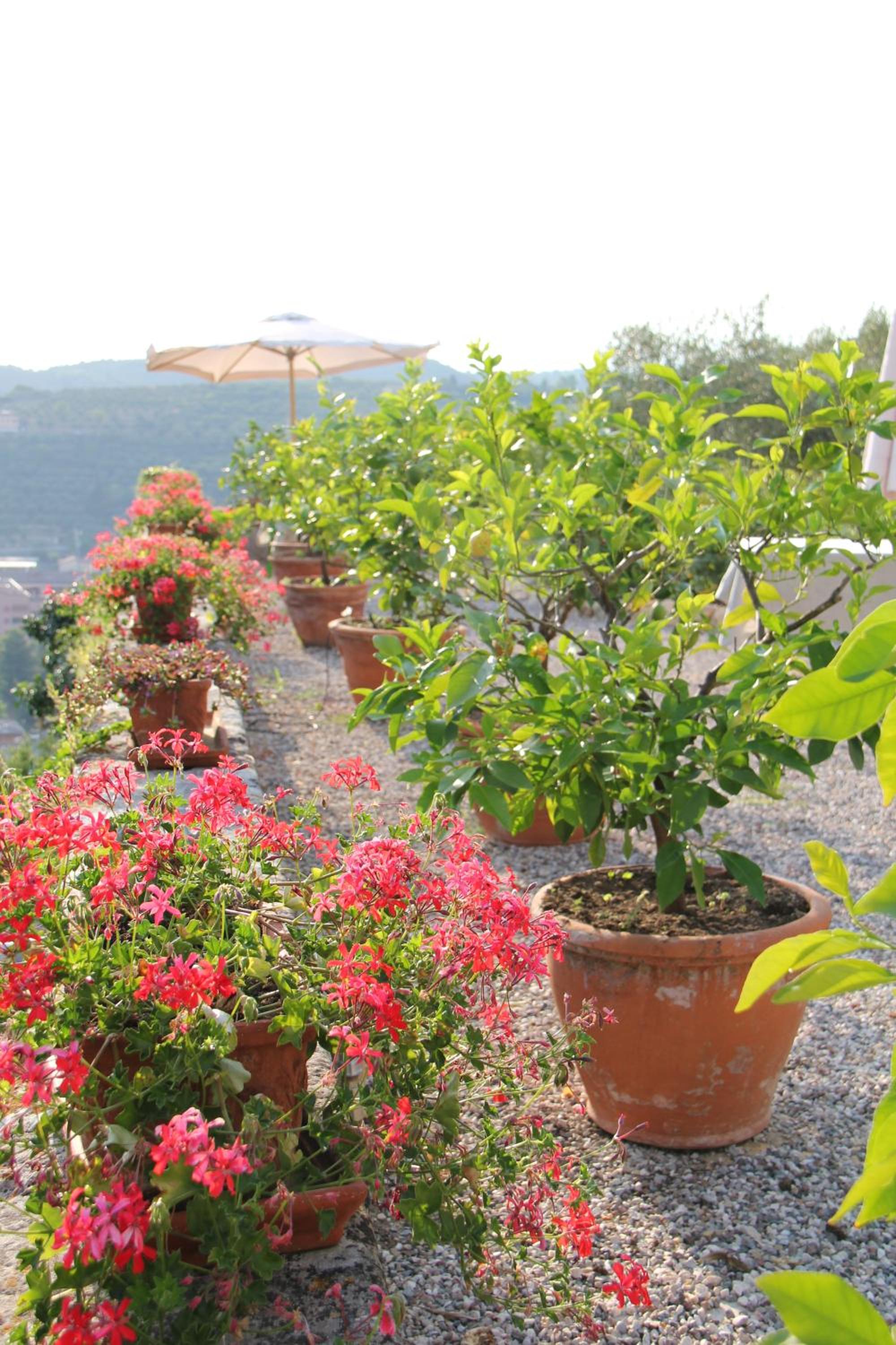 Relais Villa Ambrosetti
