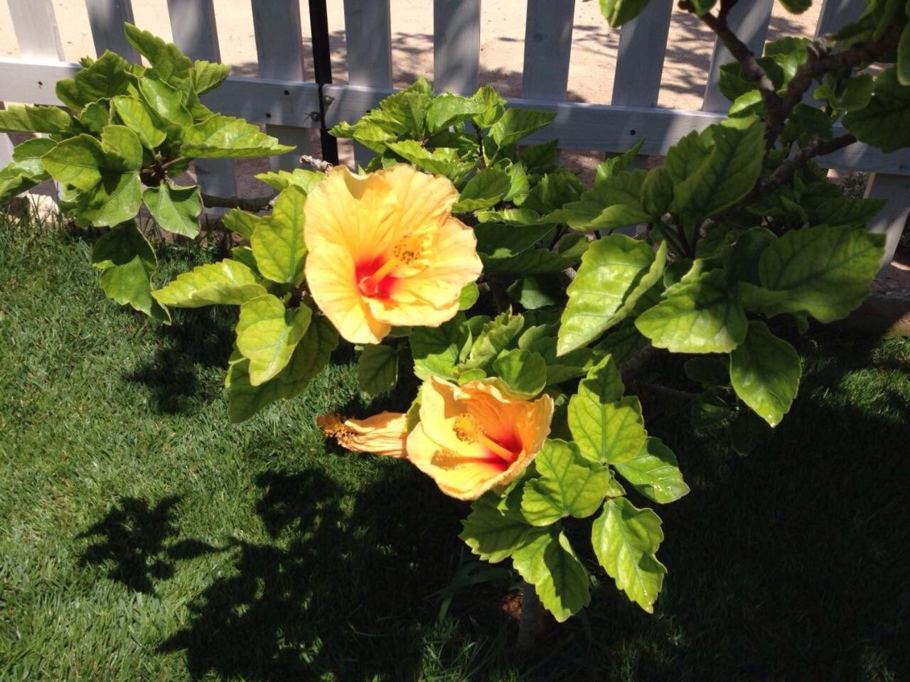 Photo 35