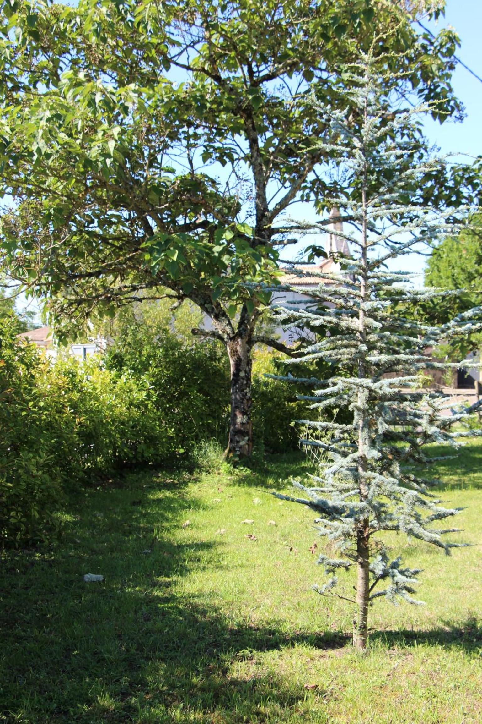 Photo 47
