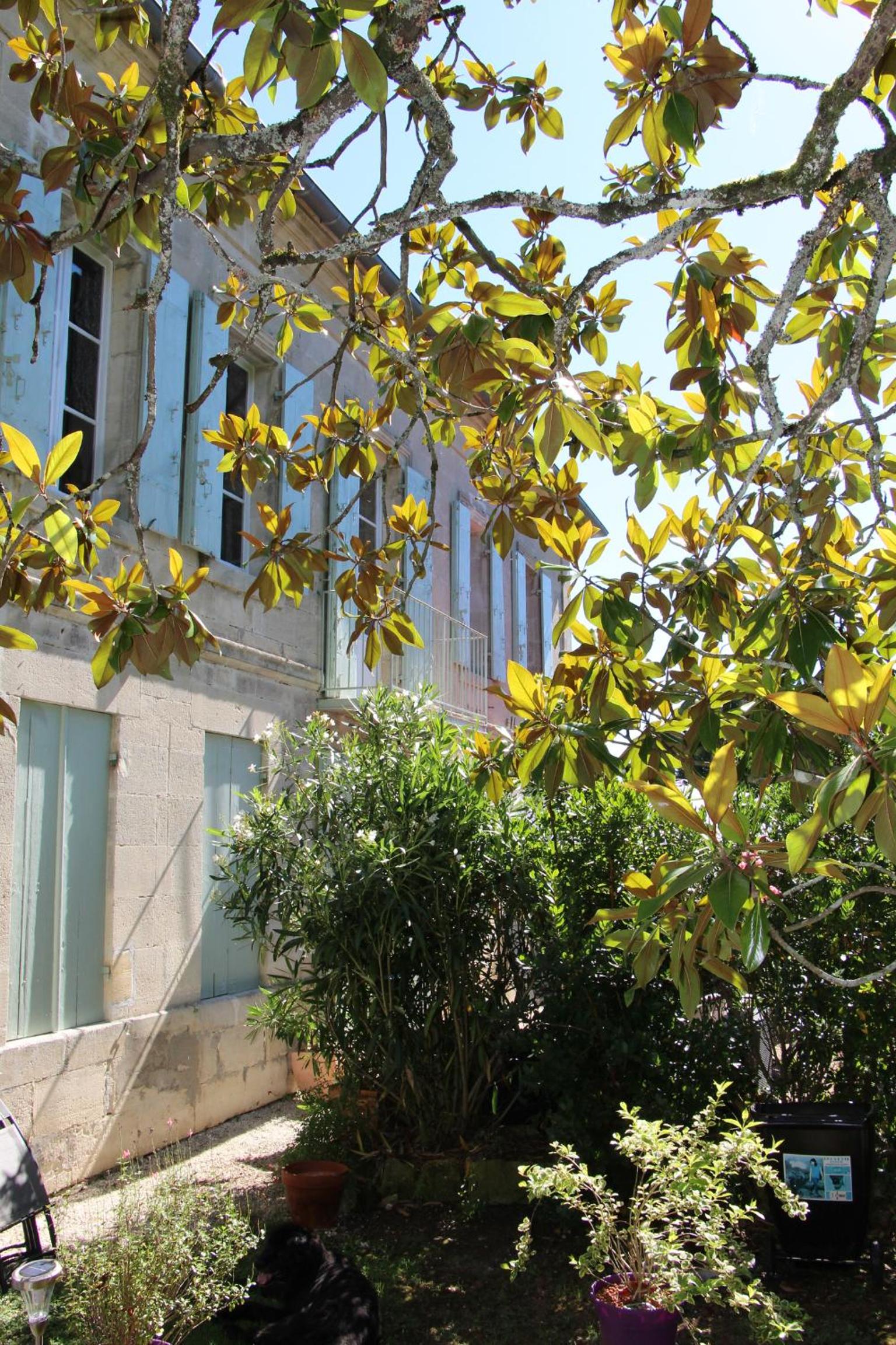Photo 13