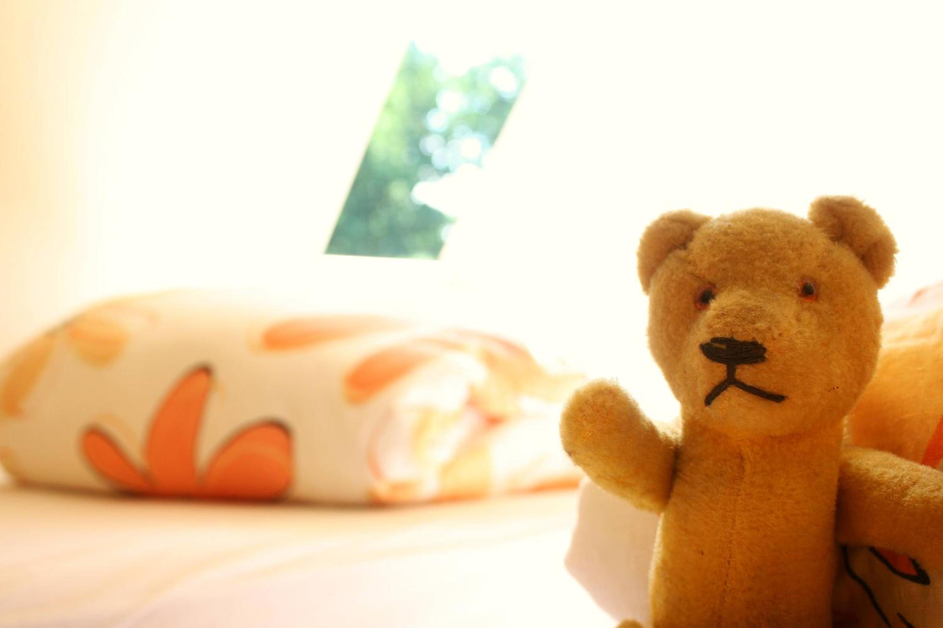 Photo 10