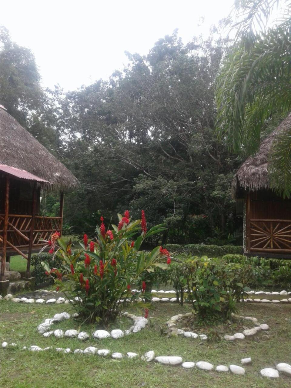 Mariana Miller Lodge