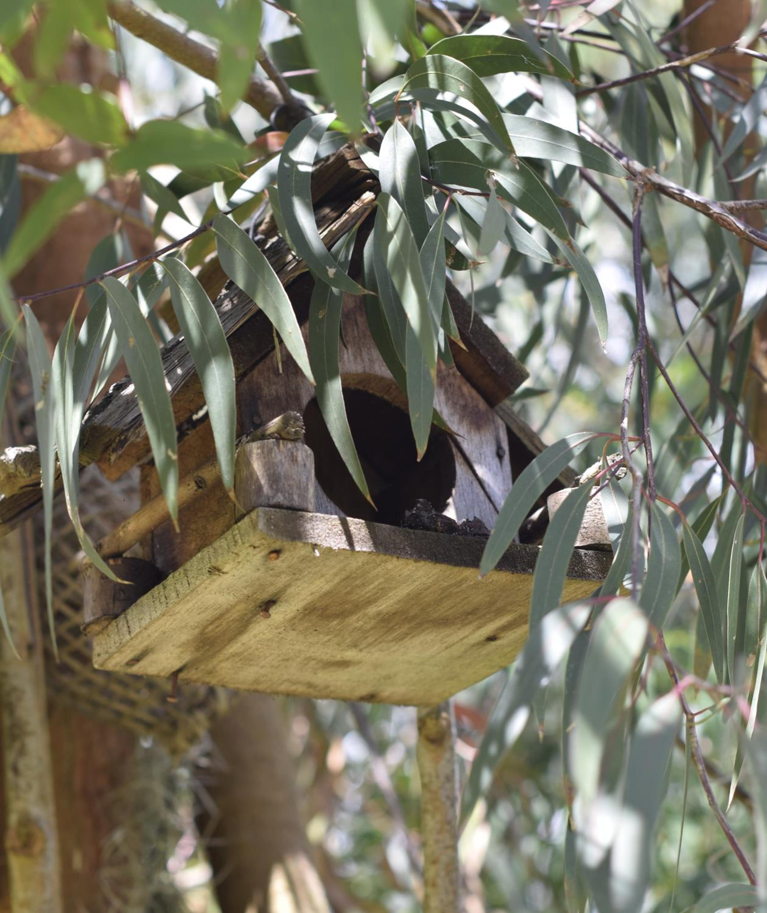 El Pedregal Sopó