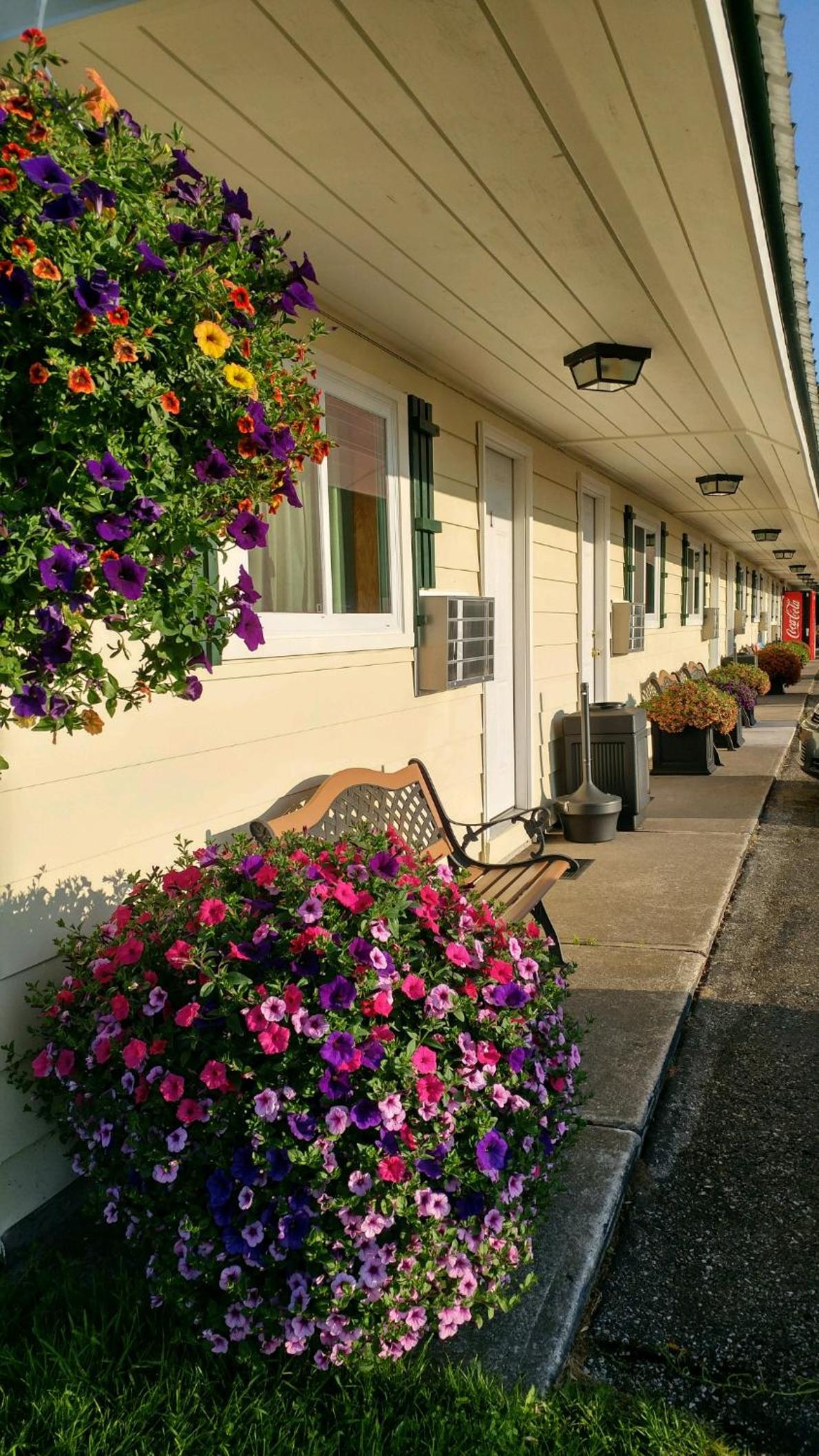 Sunset Motel at Armand's Gardens