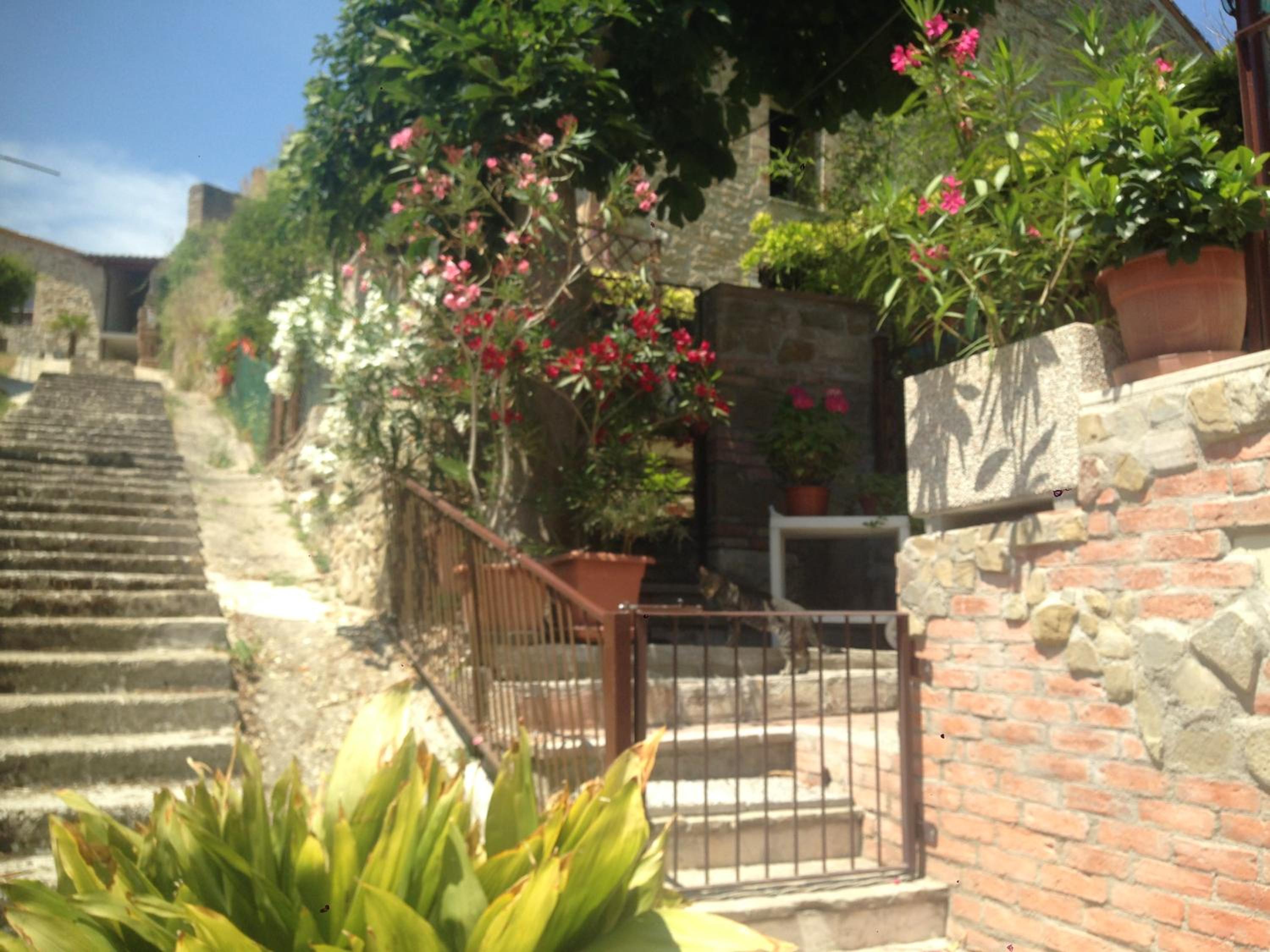 Photo 31