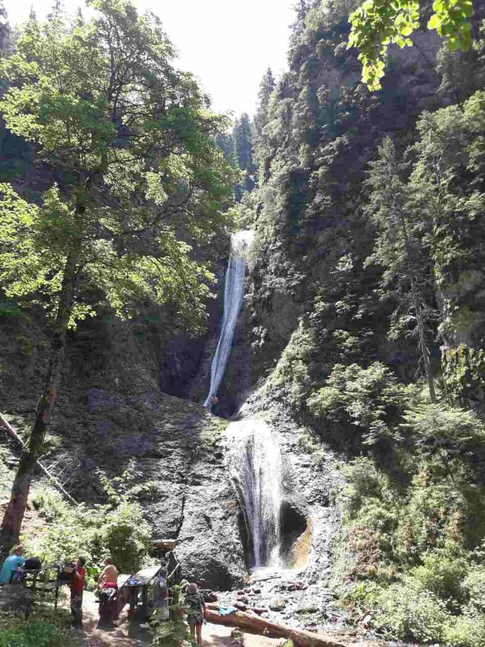 Photo 45