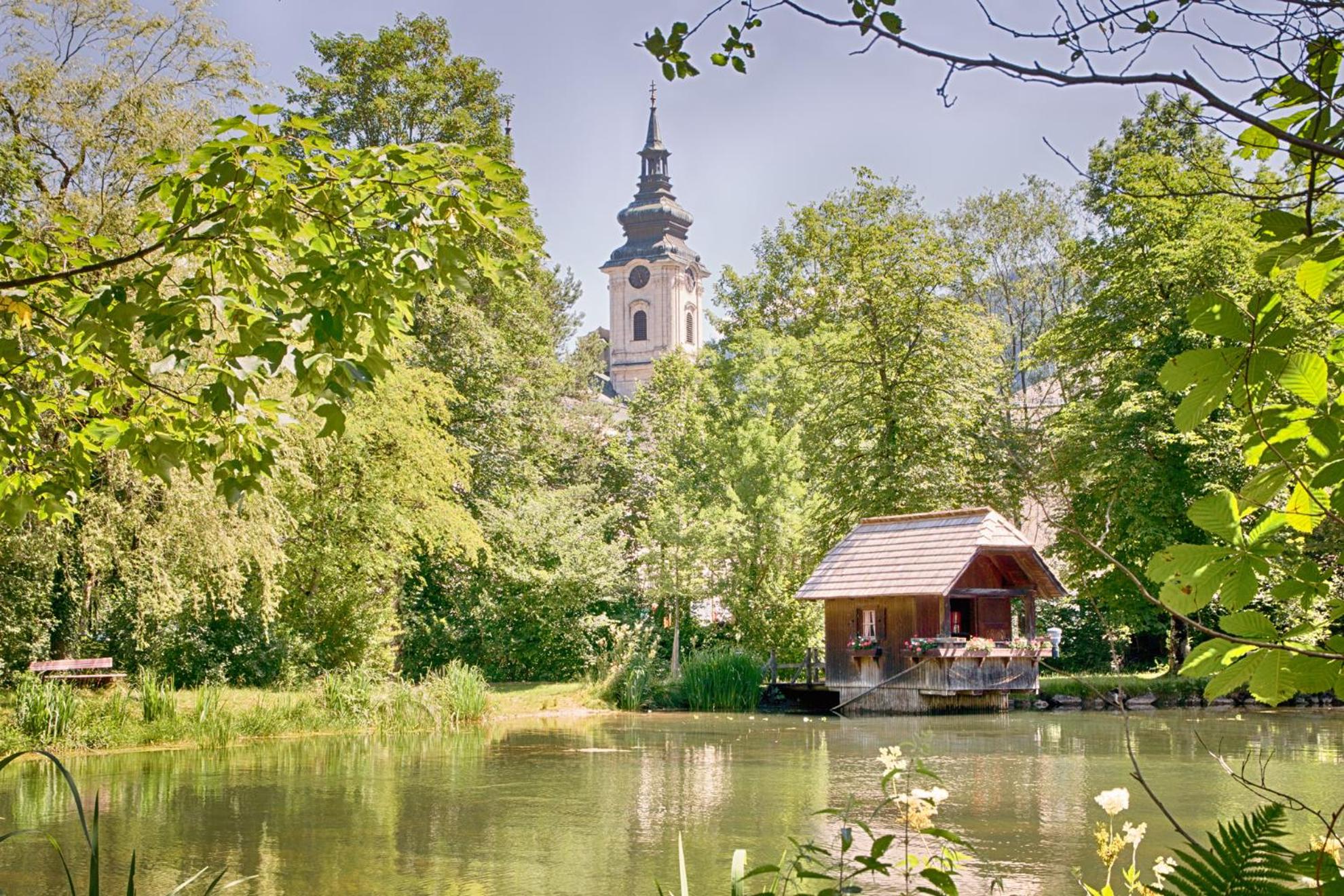 Ferienhaus Mountain View