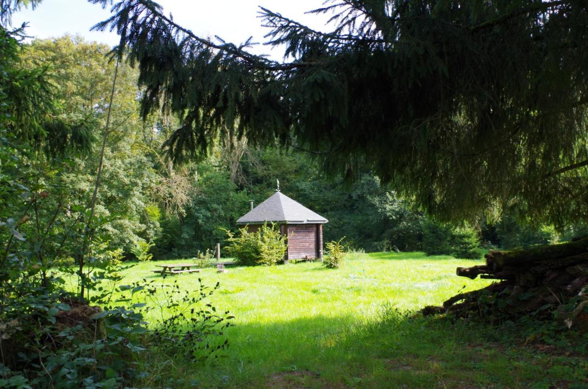 Photo 11