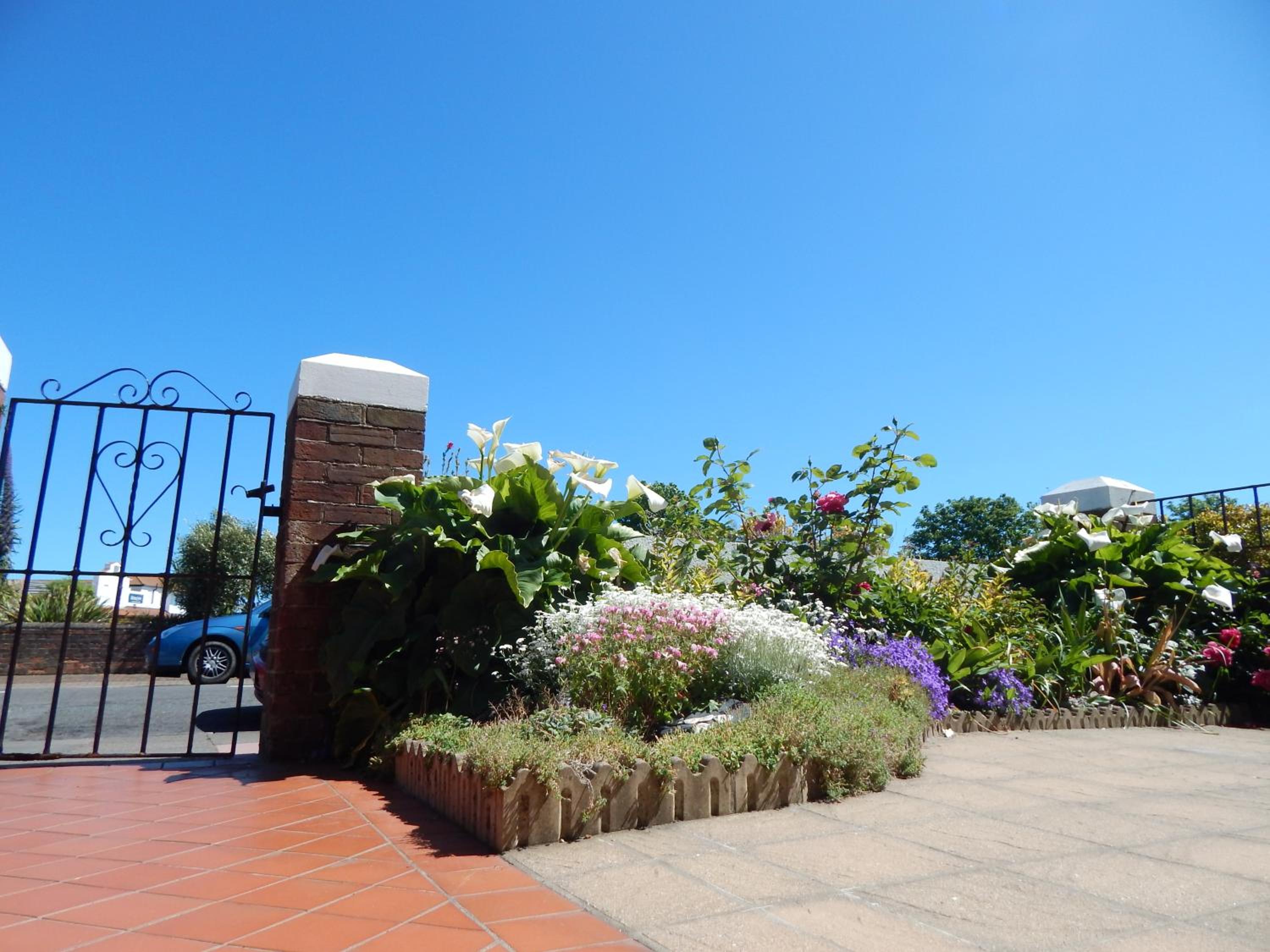 Photo 10