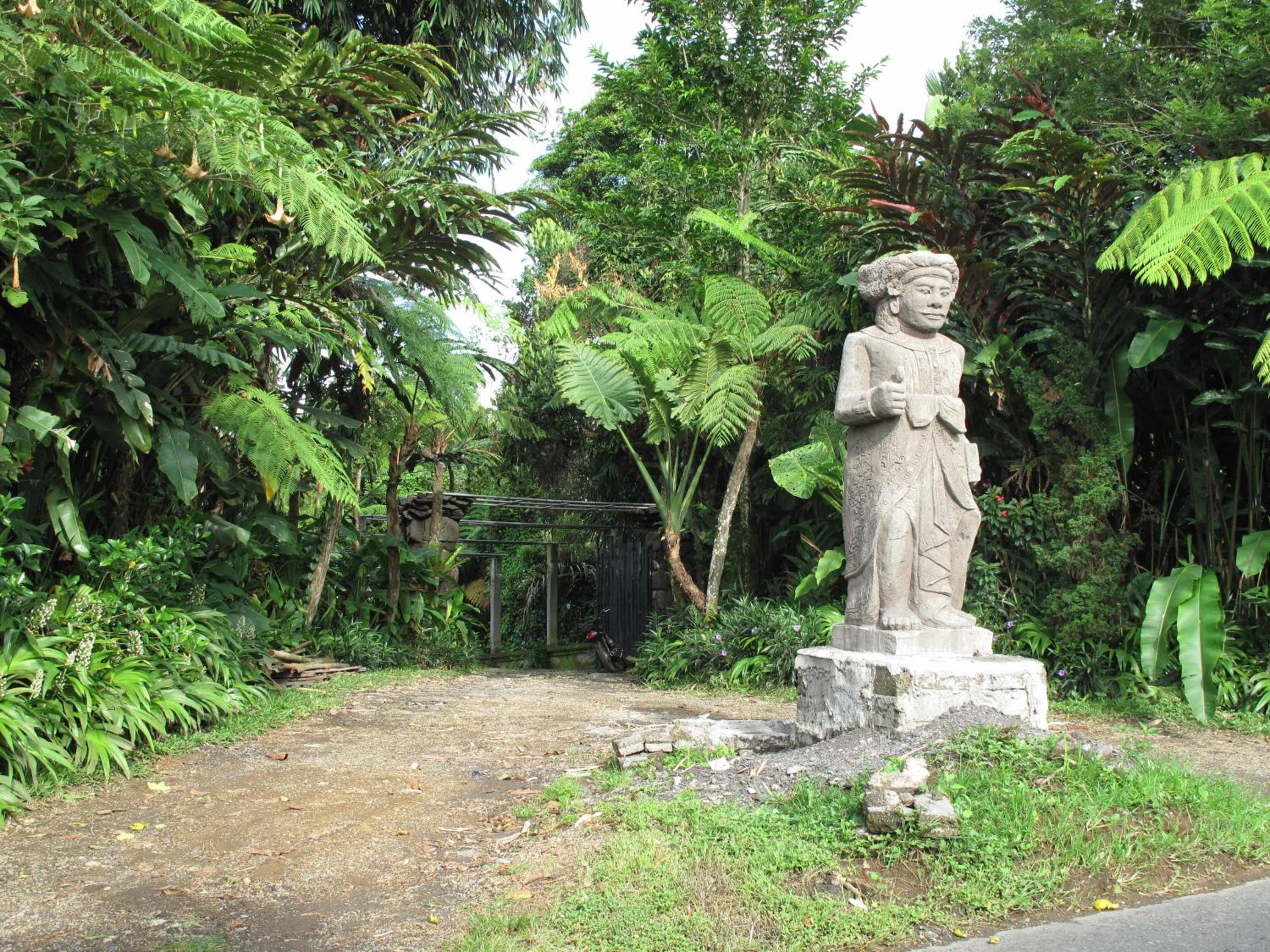 Photo 8