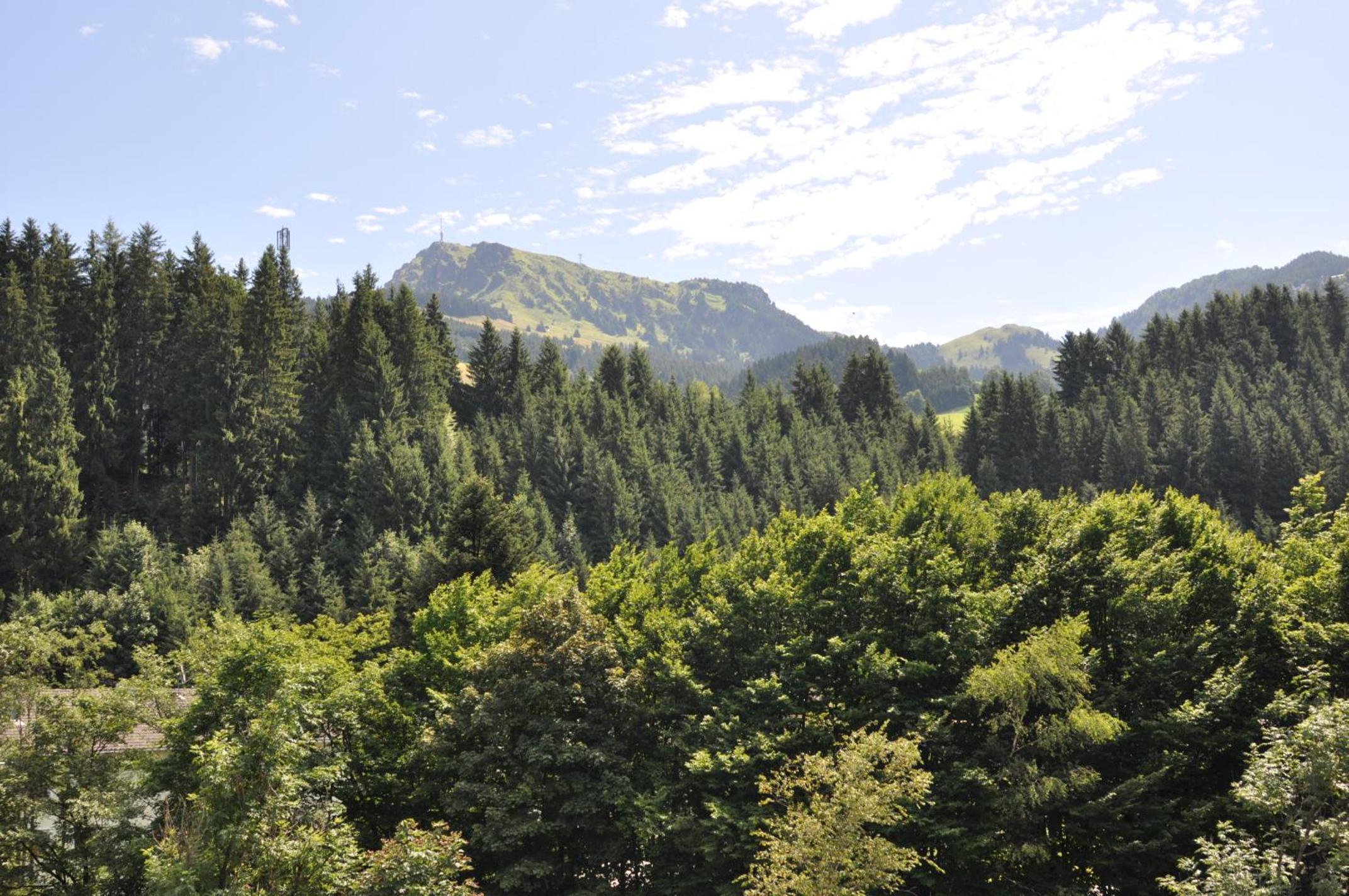 Appartement Kitzbühel mit Dachterrasse