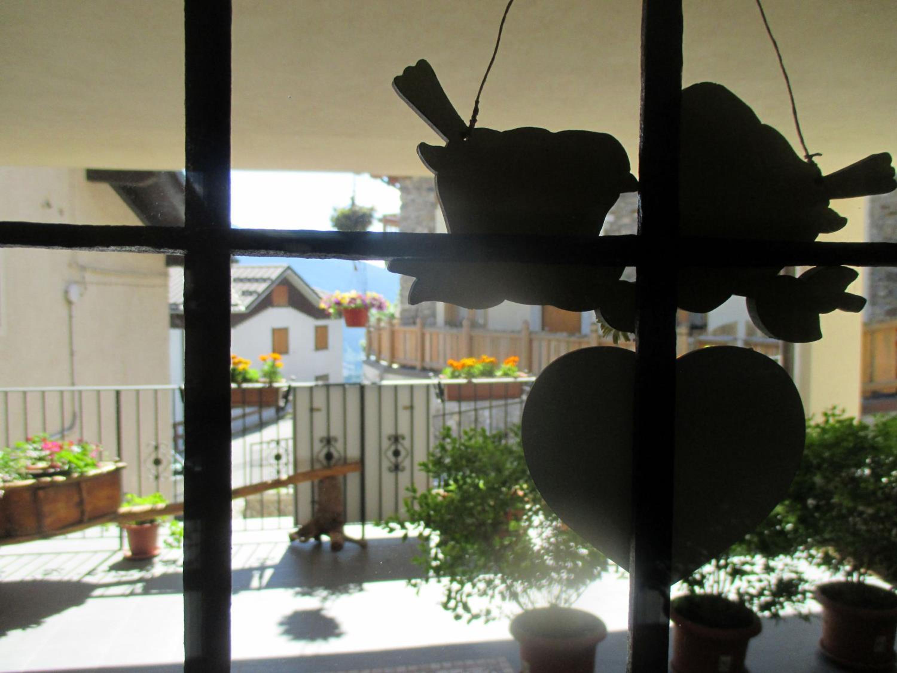 Photo 52