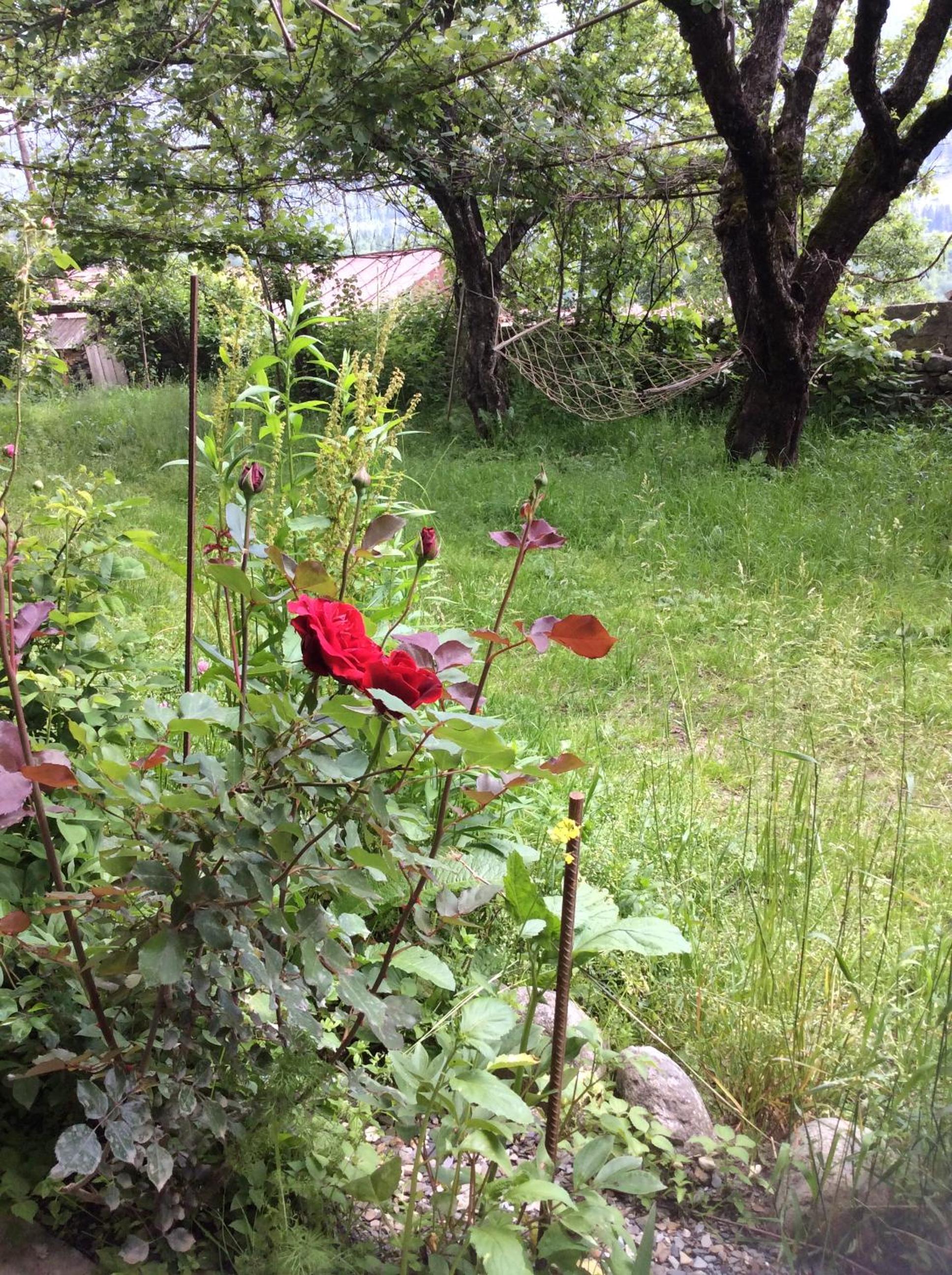 Photo 19