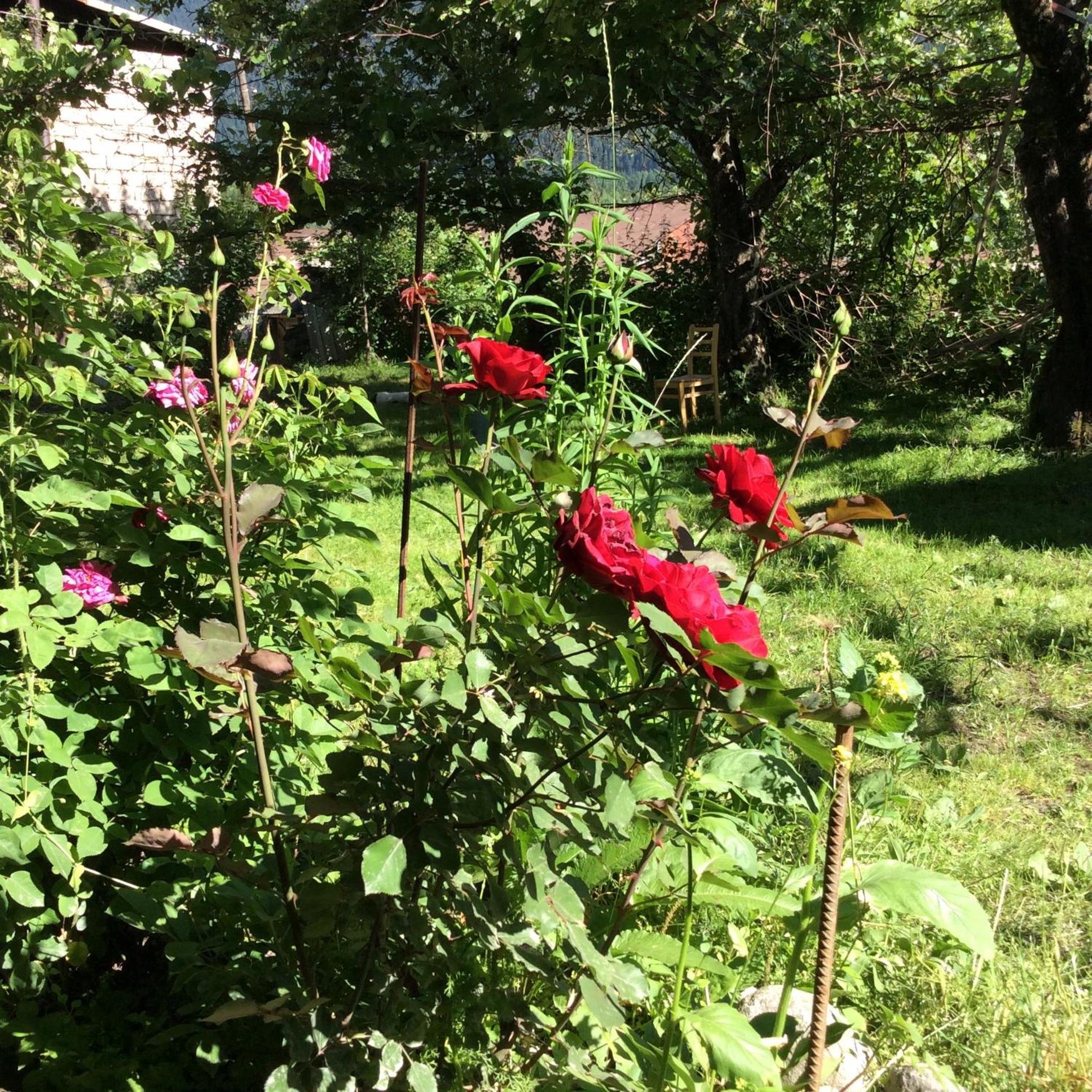 Photo 18