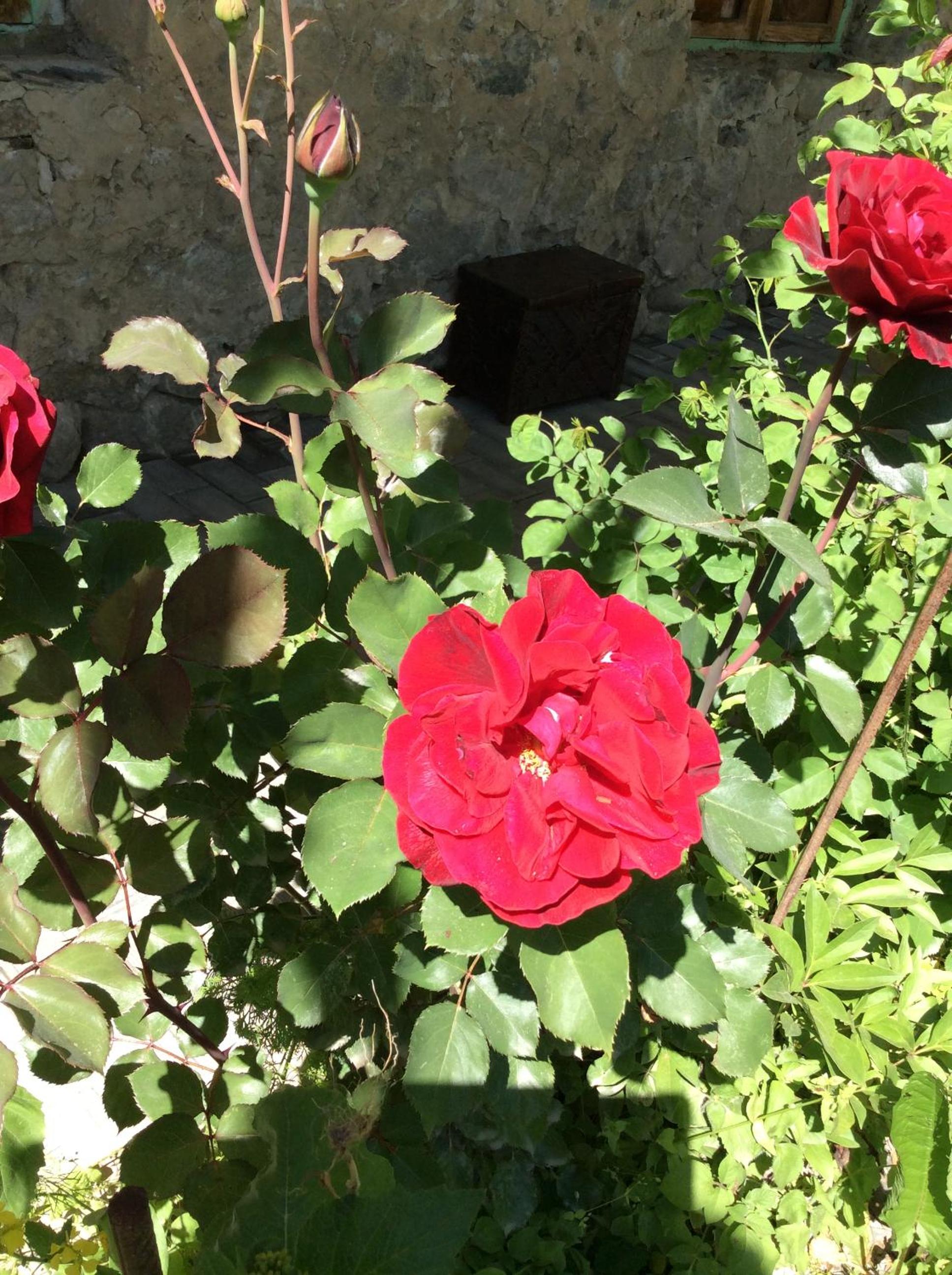 Photo 16