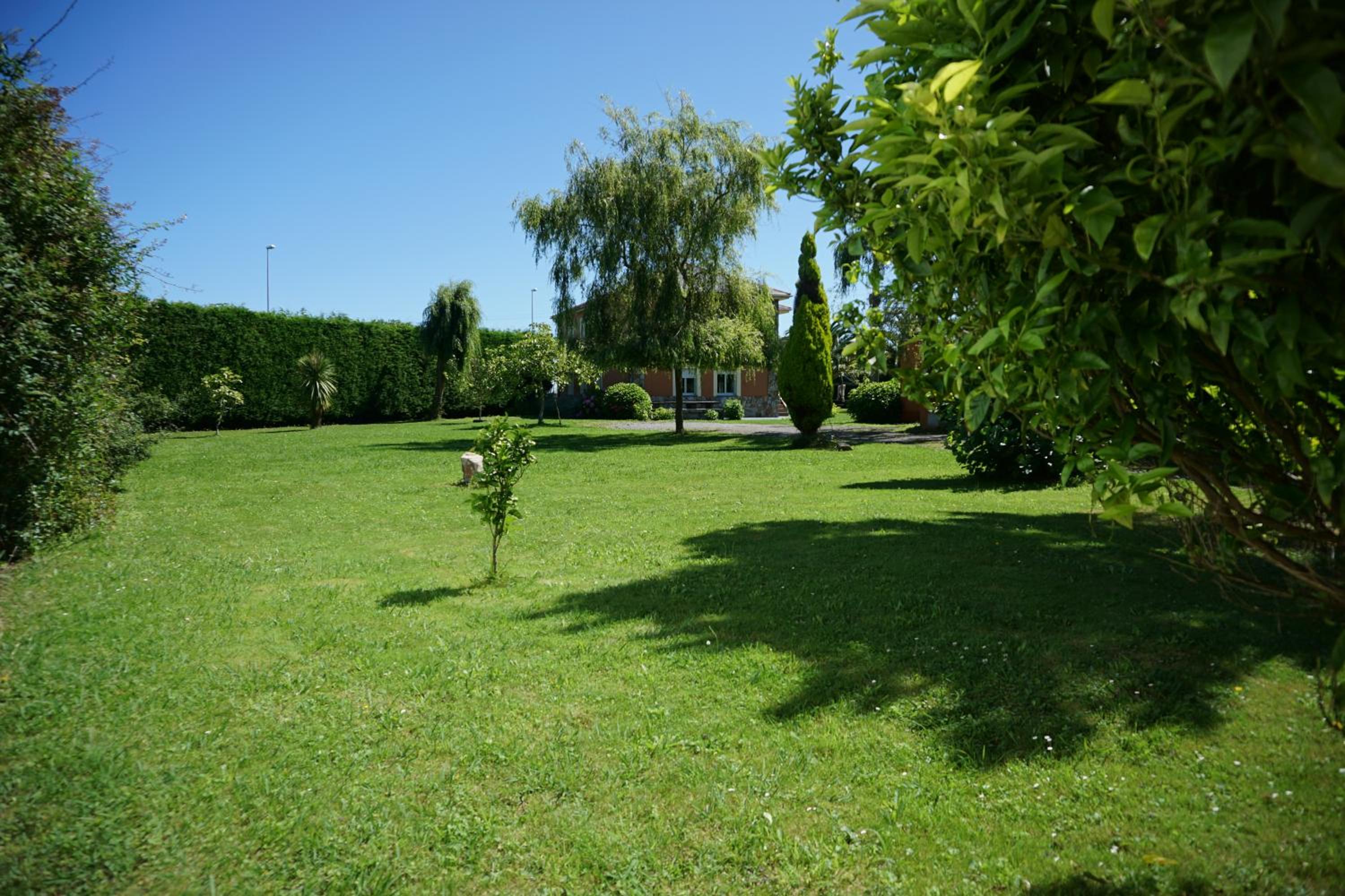 Photo 42