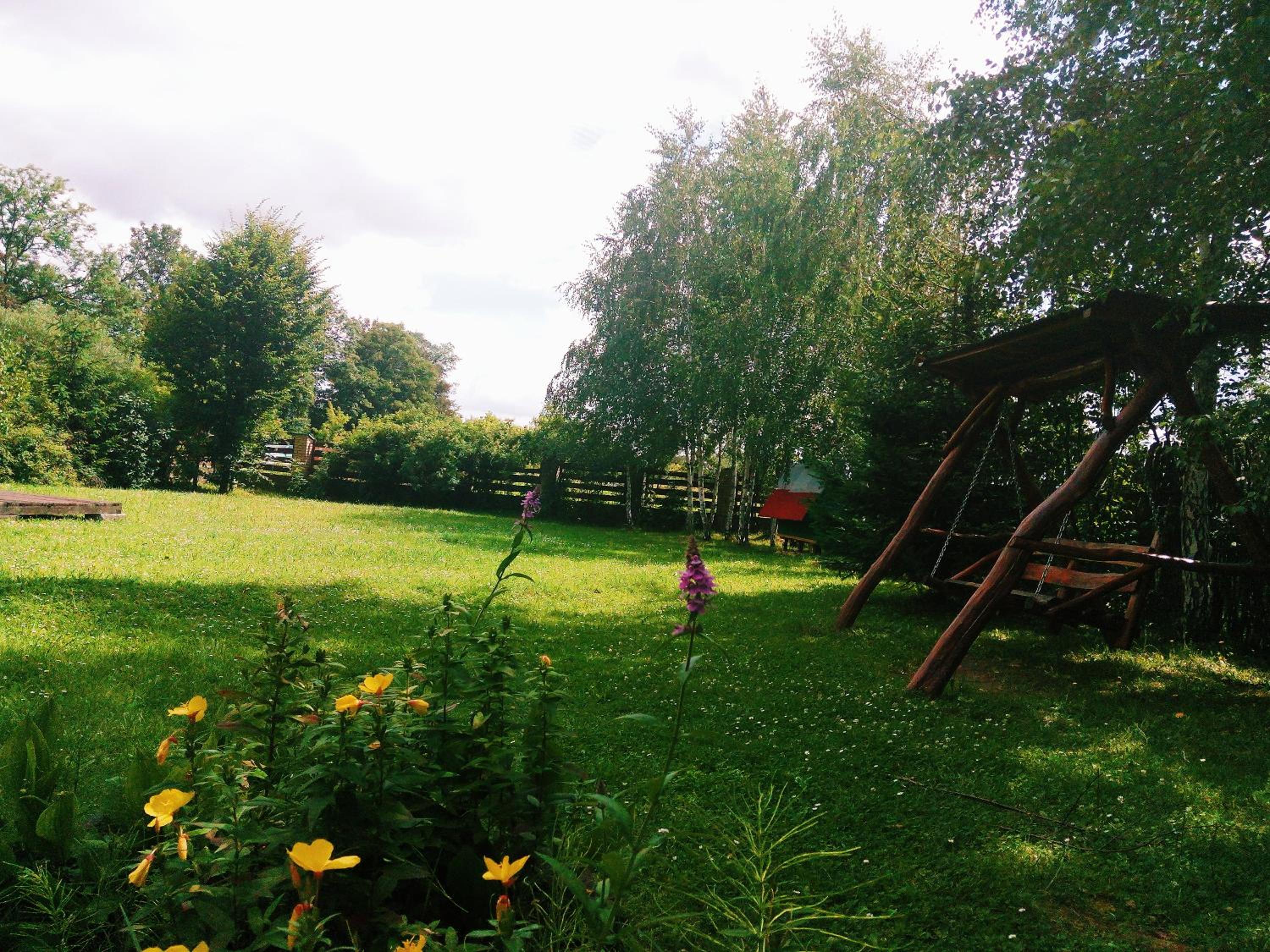 Karpaty Viking