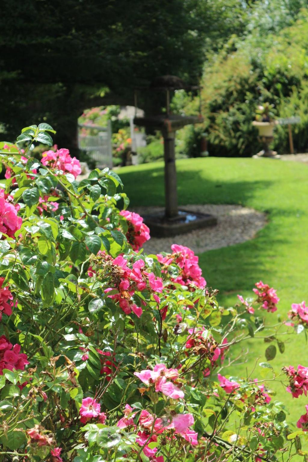 Dunmore Gardens