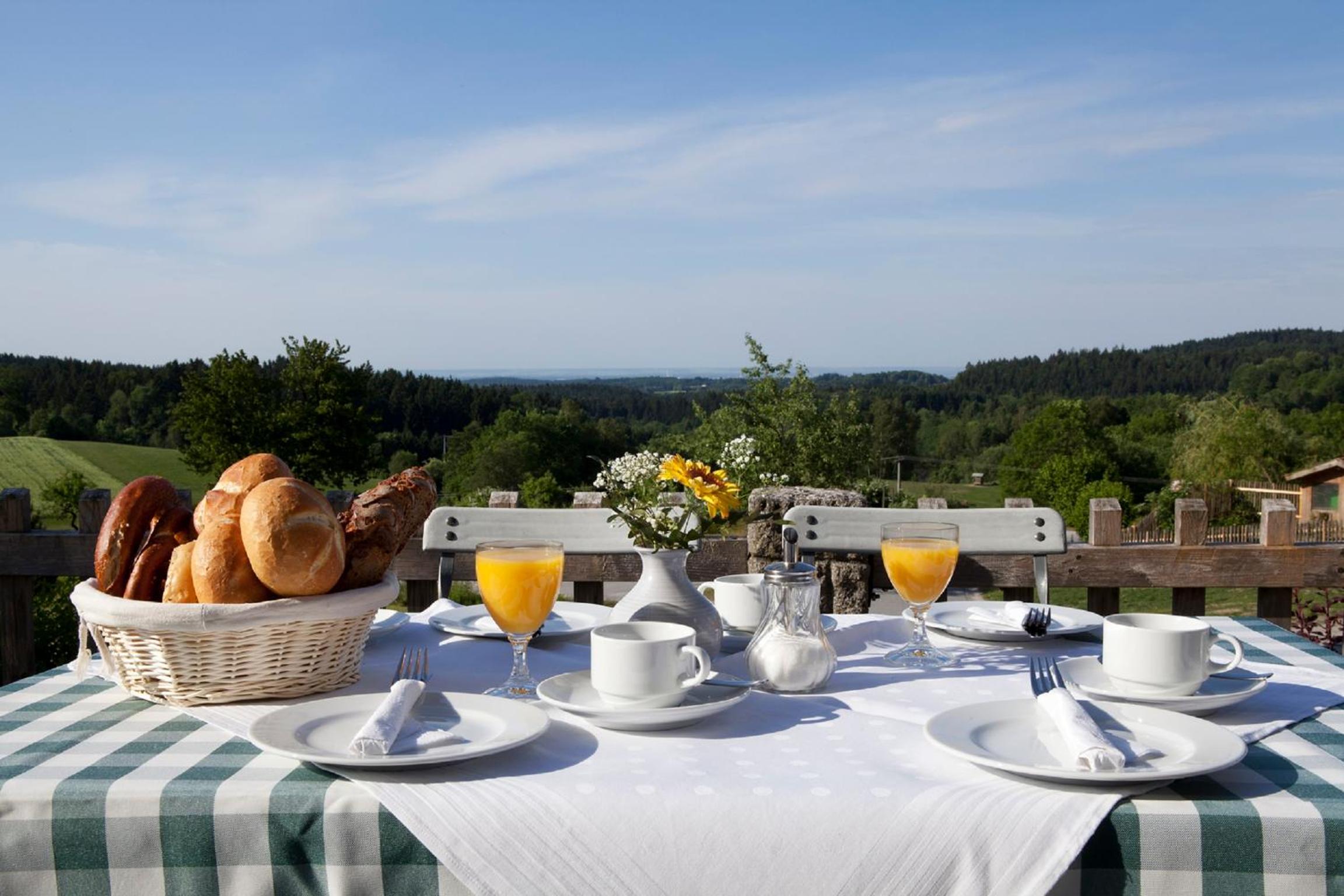 Wild-Berghof Buchet view 4