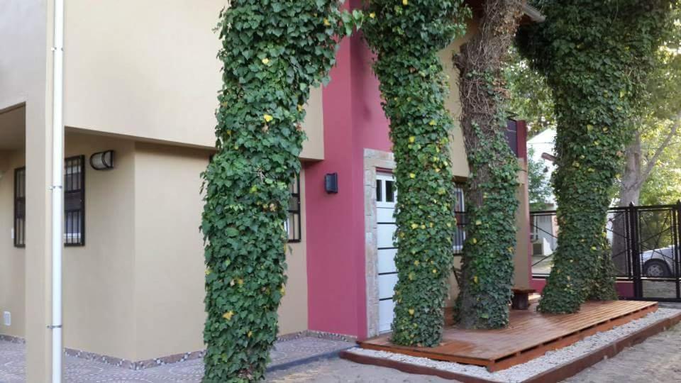 Arbolada Talas del Tuyu