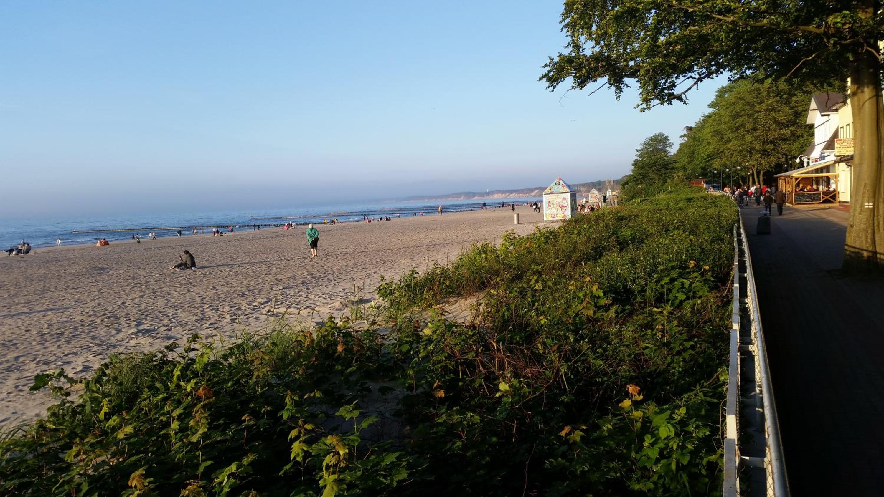 Photo 23