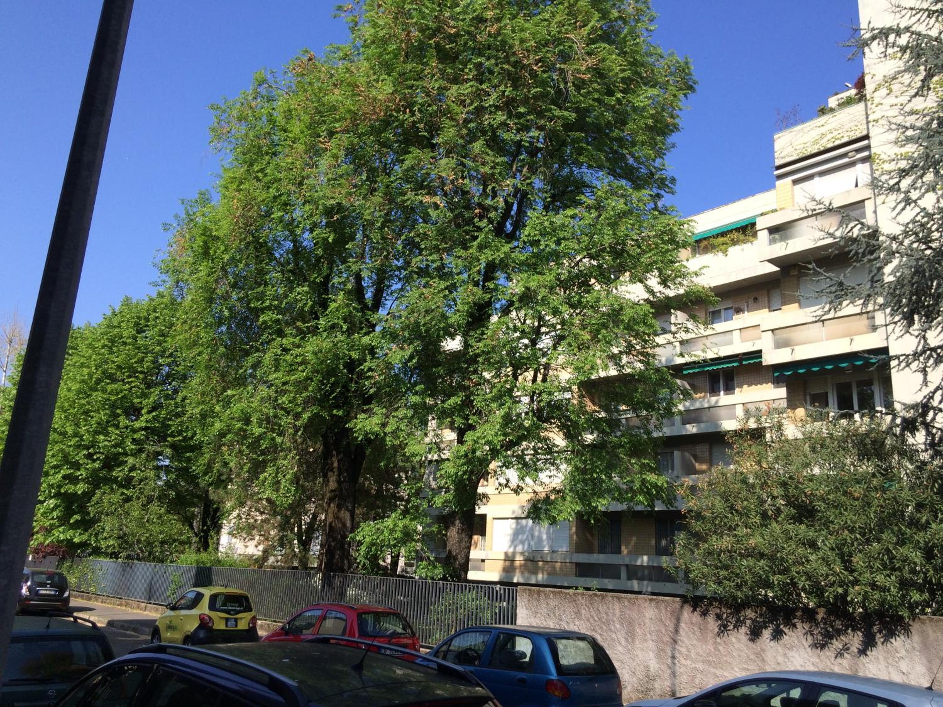 Casa Carozzi
