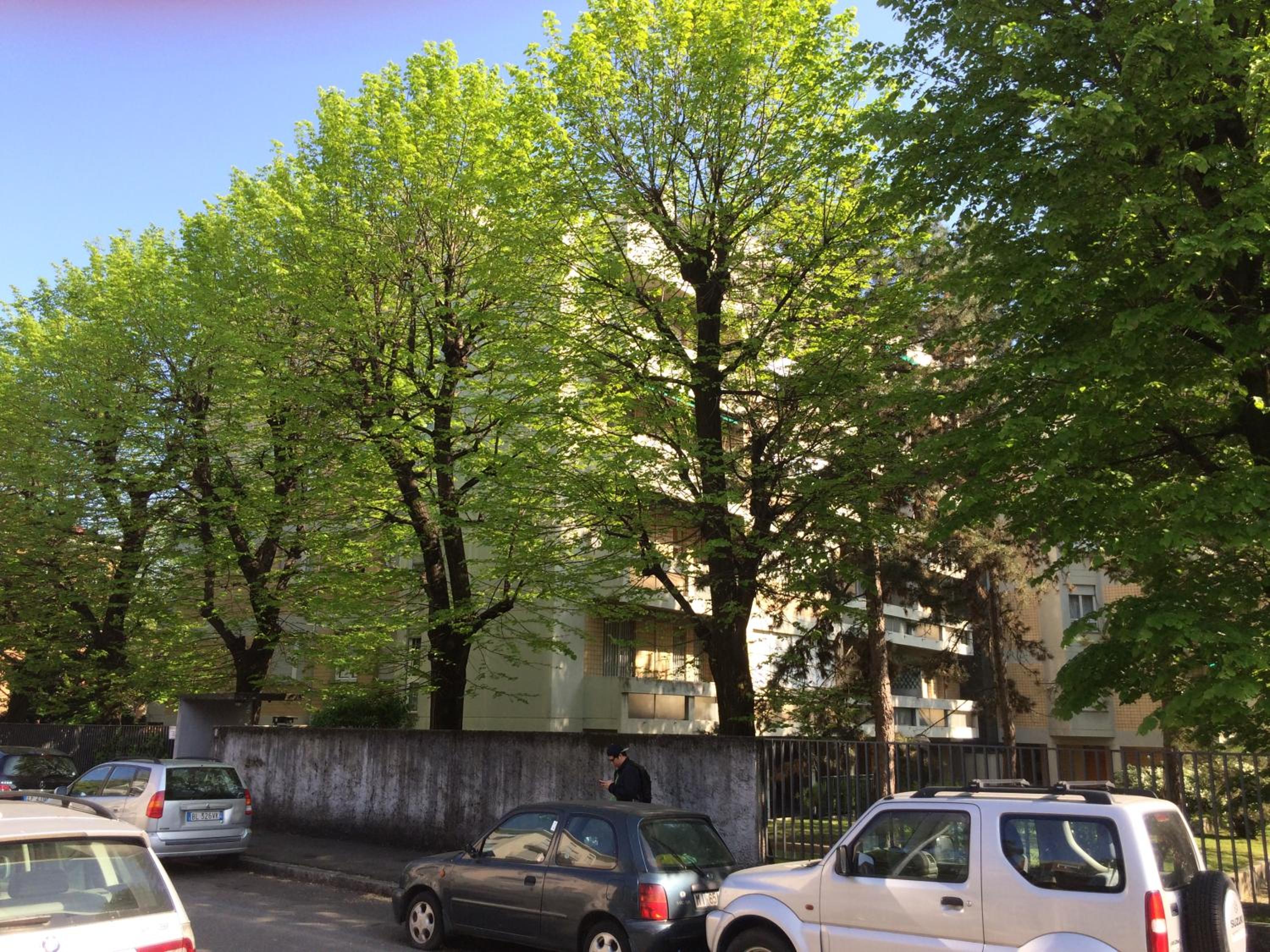 Casa Carozzi