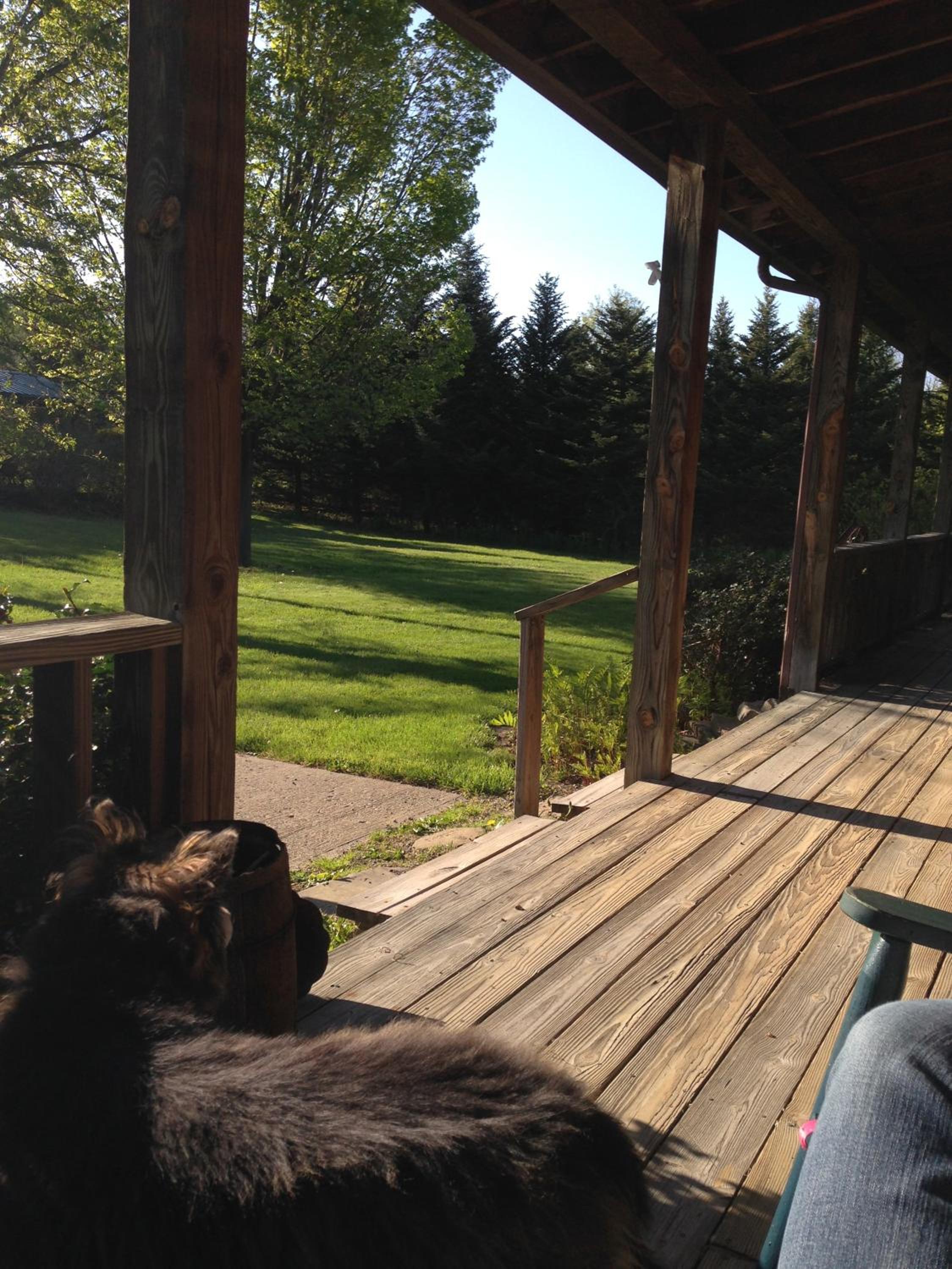 The South Glenora Tree Farm view 2