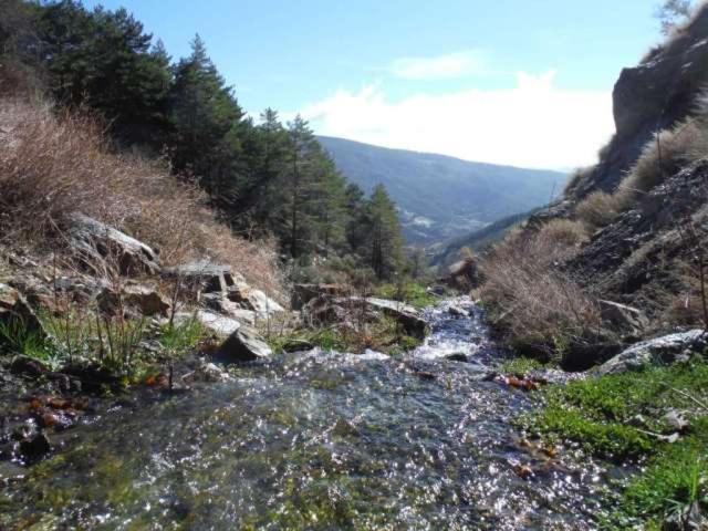 Photo 33