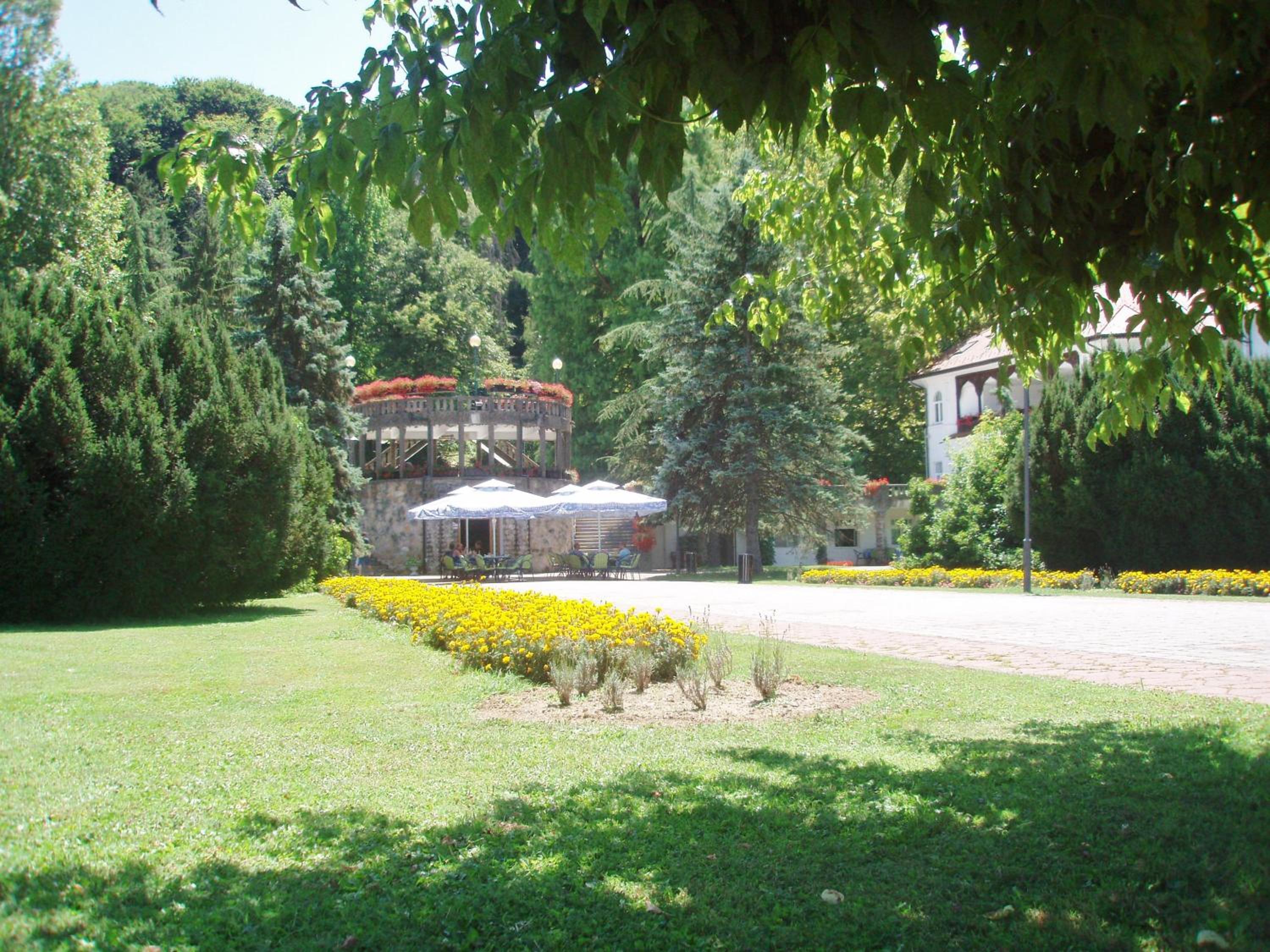 Photo 32